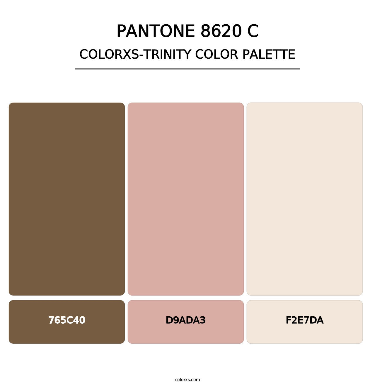 PANTONE 8620 C - Colorxs Trinity Palette