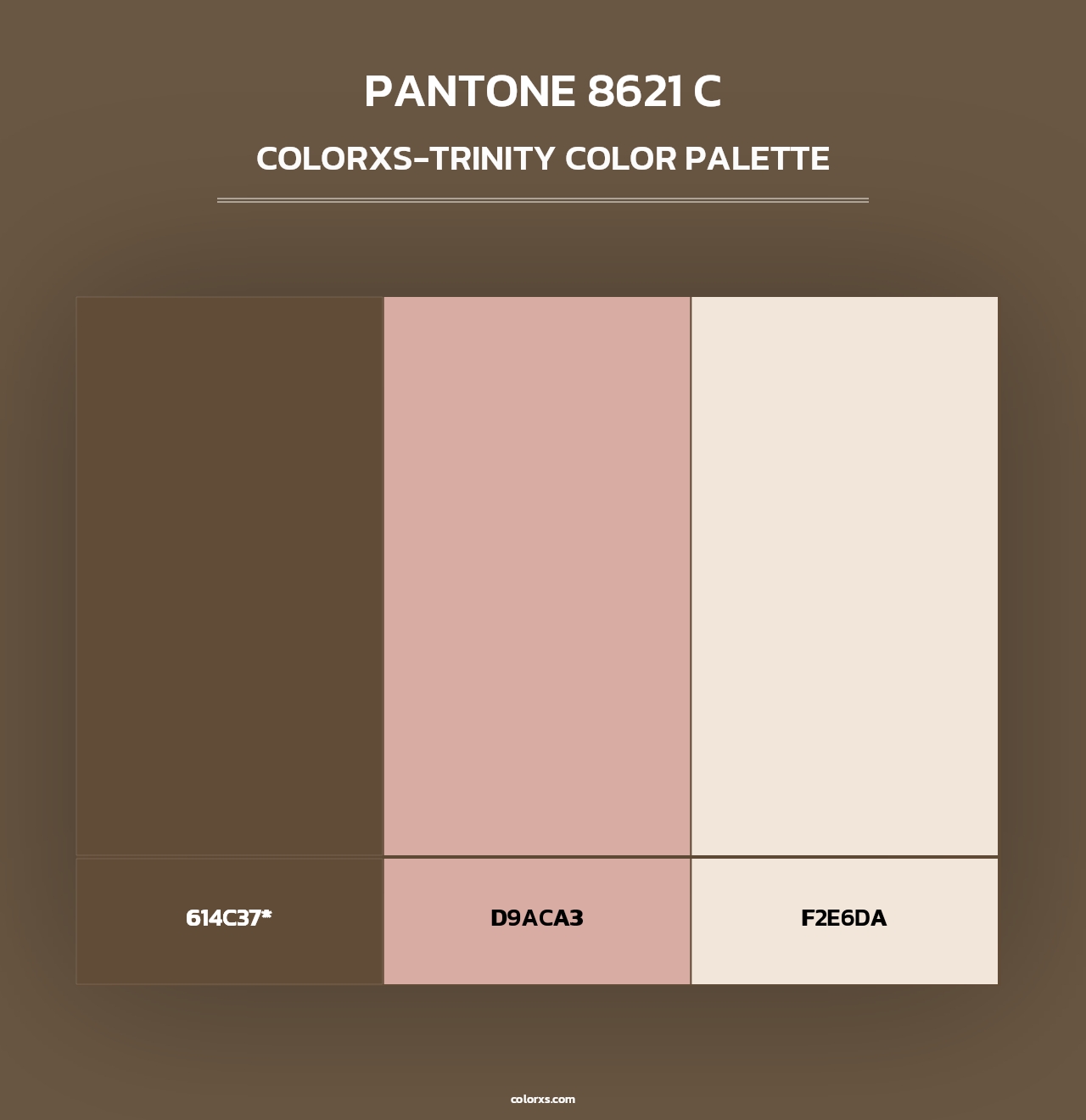 PANTONE 8621 C - Colorxs Trinity Palette