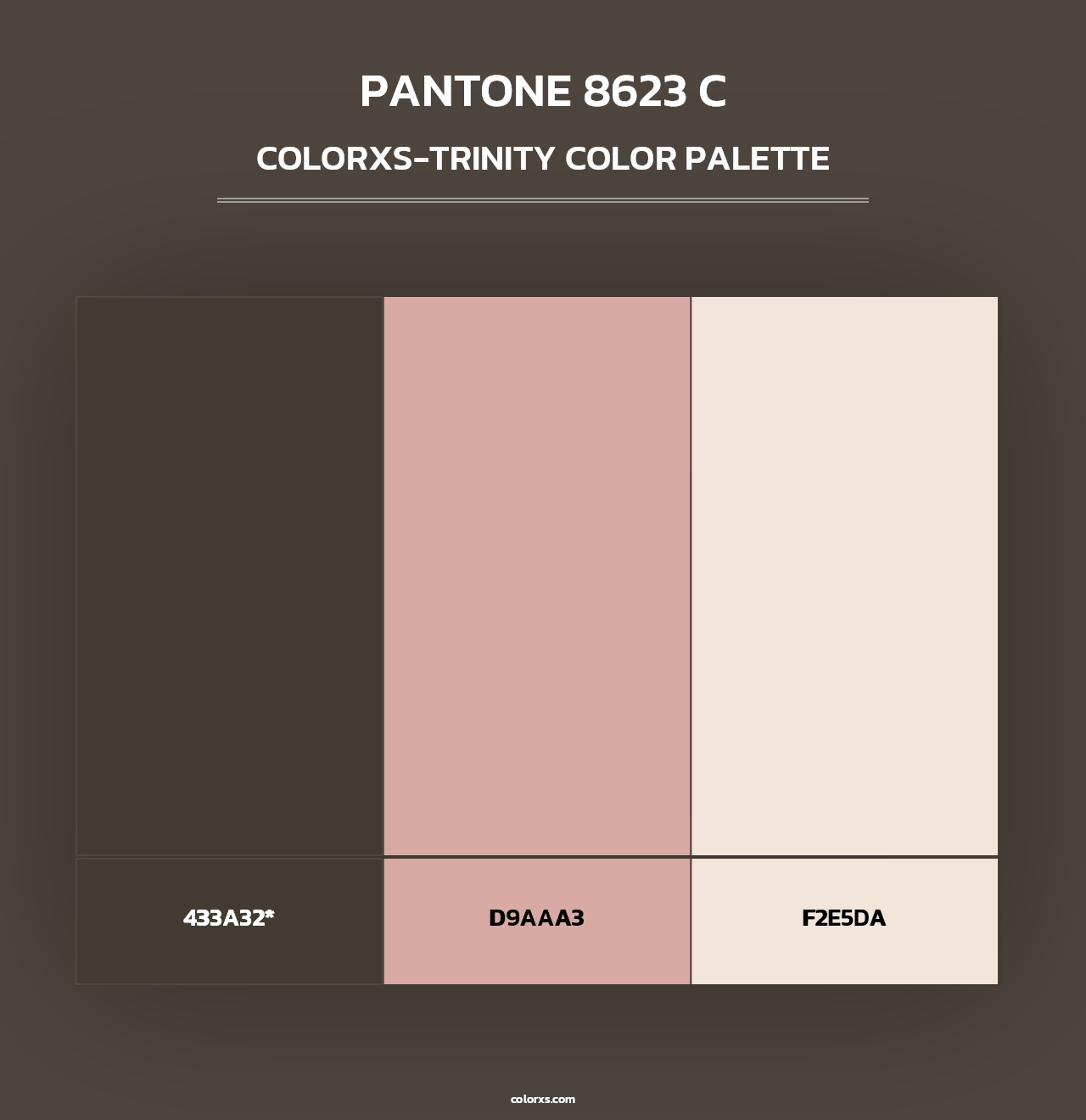 PANTONE 8623 C - Colorxs Trinity Palette