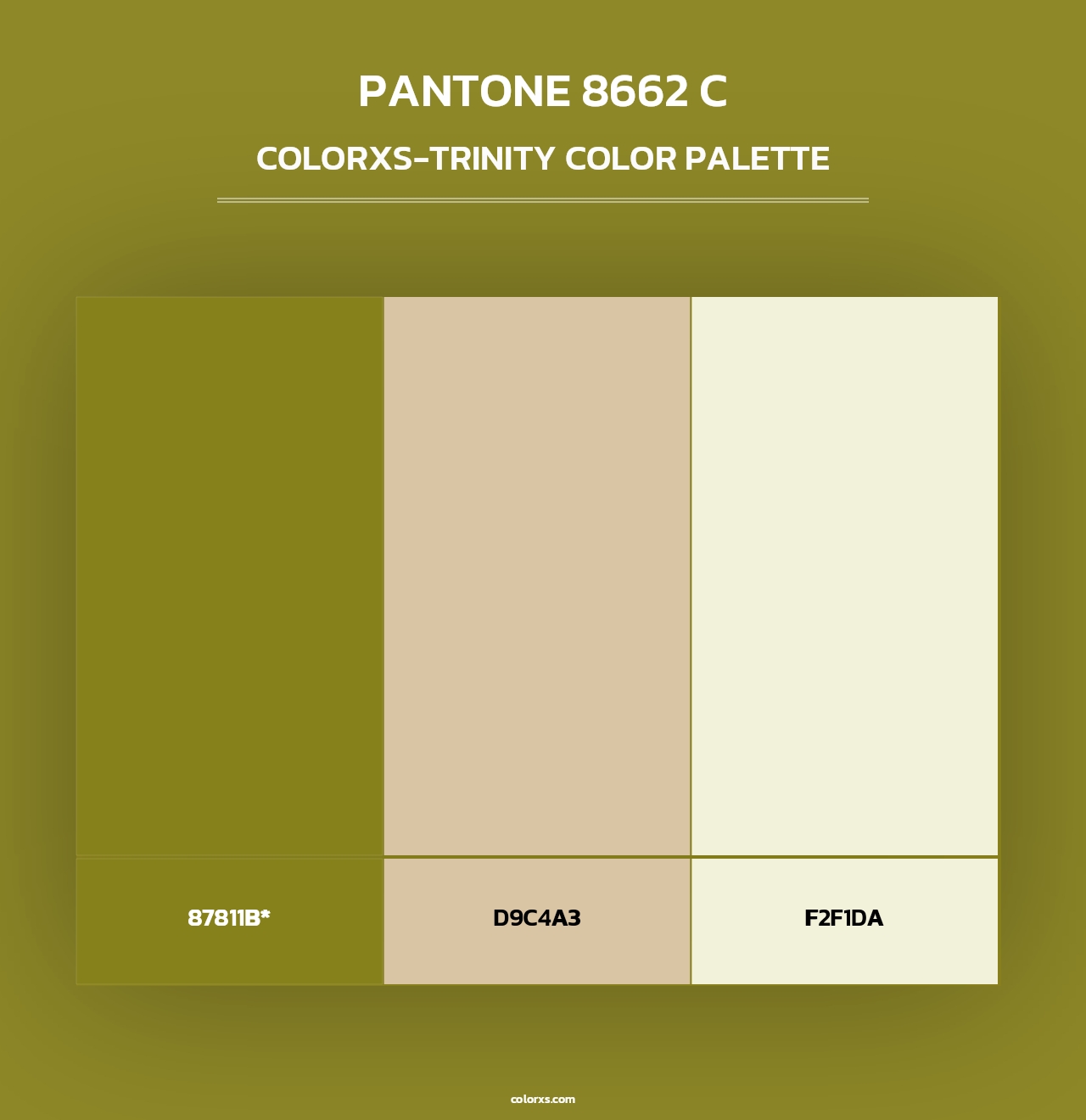 PANTONE 8662 C - Colorxs Trinity Palette