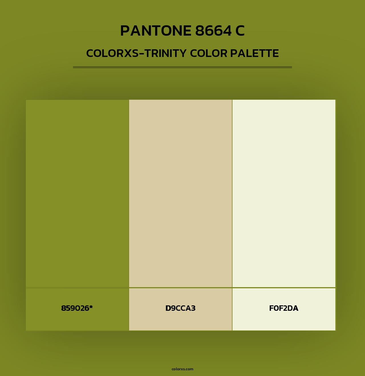 PANTONE 8664 C - Colorxs Trinity Palette