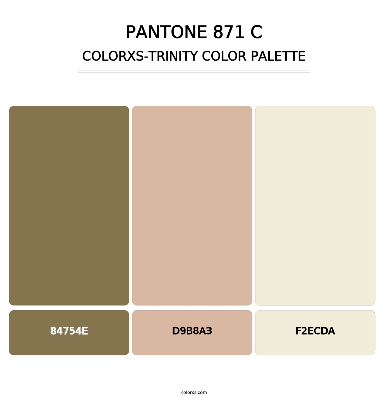 PANTONE 871 C - Colorxs Trinity Palette