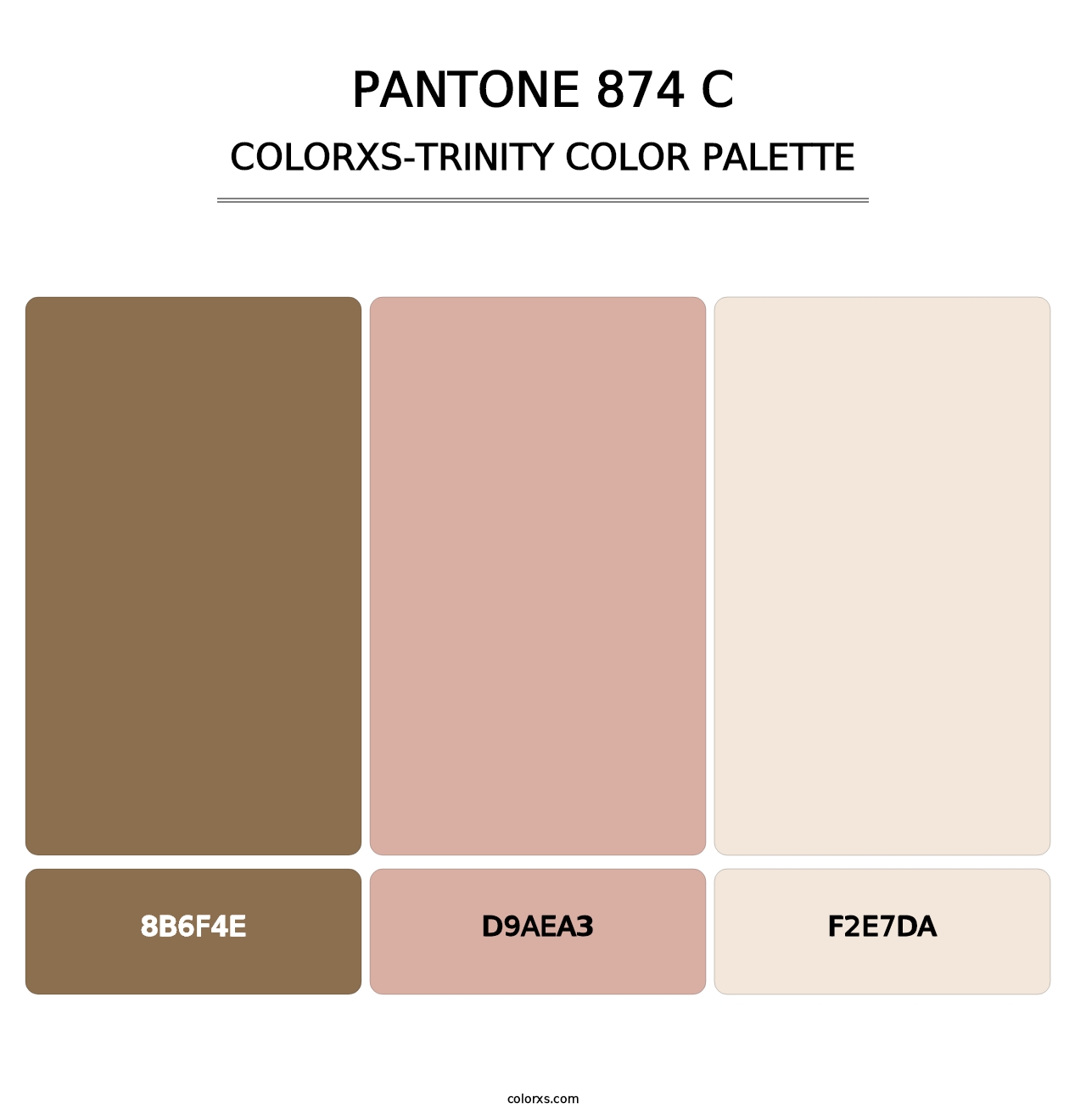 PANTONE 874 C - Colorxs Trinity Palette