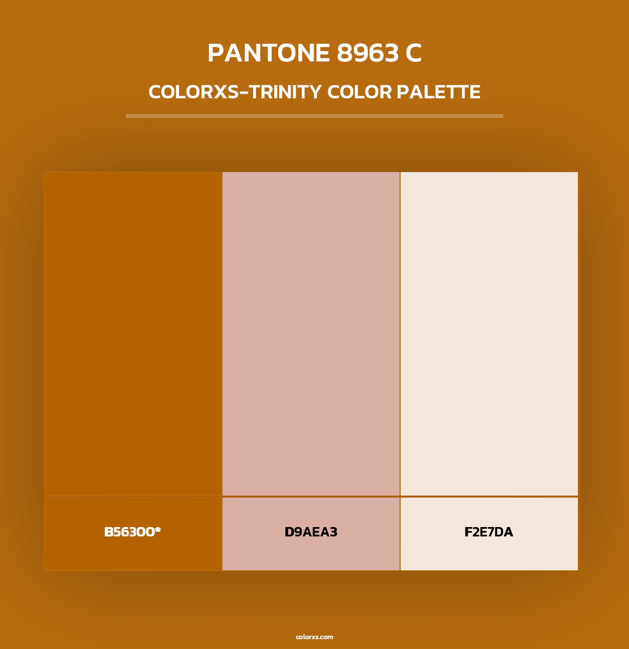 PANTONE 8963 C - Colorxs Trinity Palette