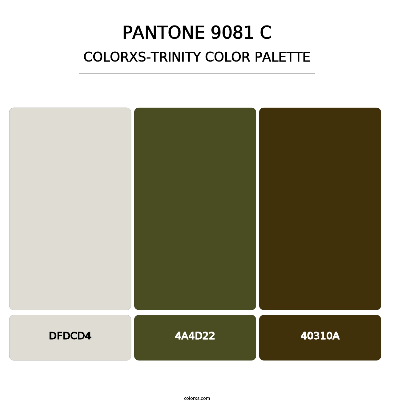 PANTONE 9081 C - Colorxs Trinity Palette