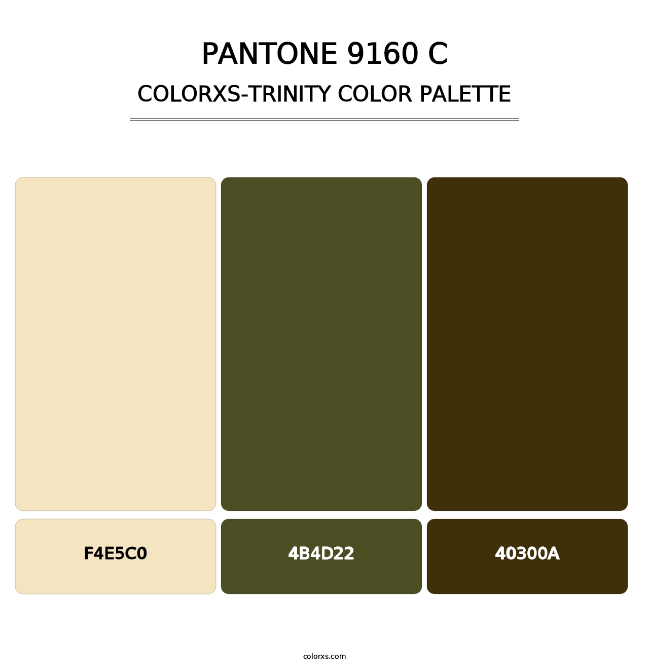 PANTONE 9160 C - Colorxs Trinity Palette