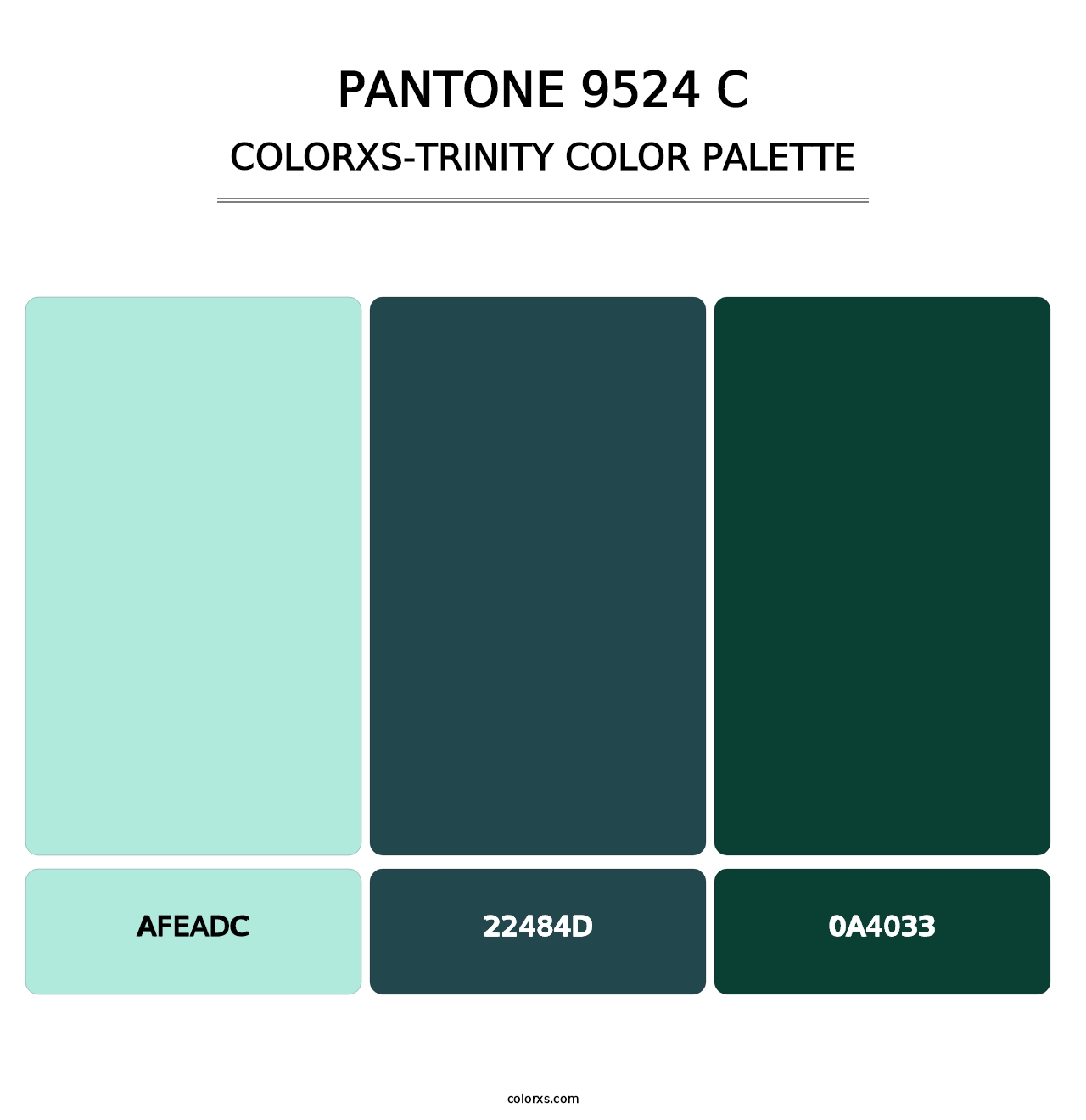PANTONE 9524 C - Colorxs Trinity Palette