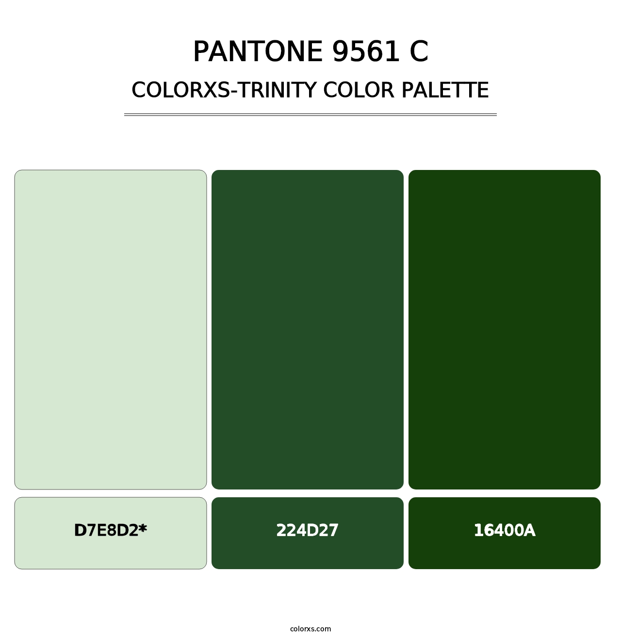 PANTONE 9561 C - Colorxs Trinity Palette
