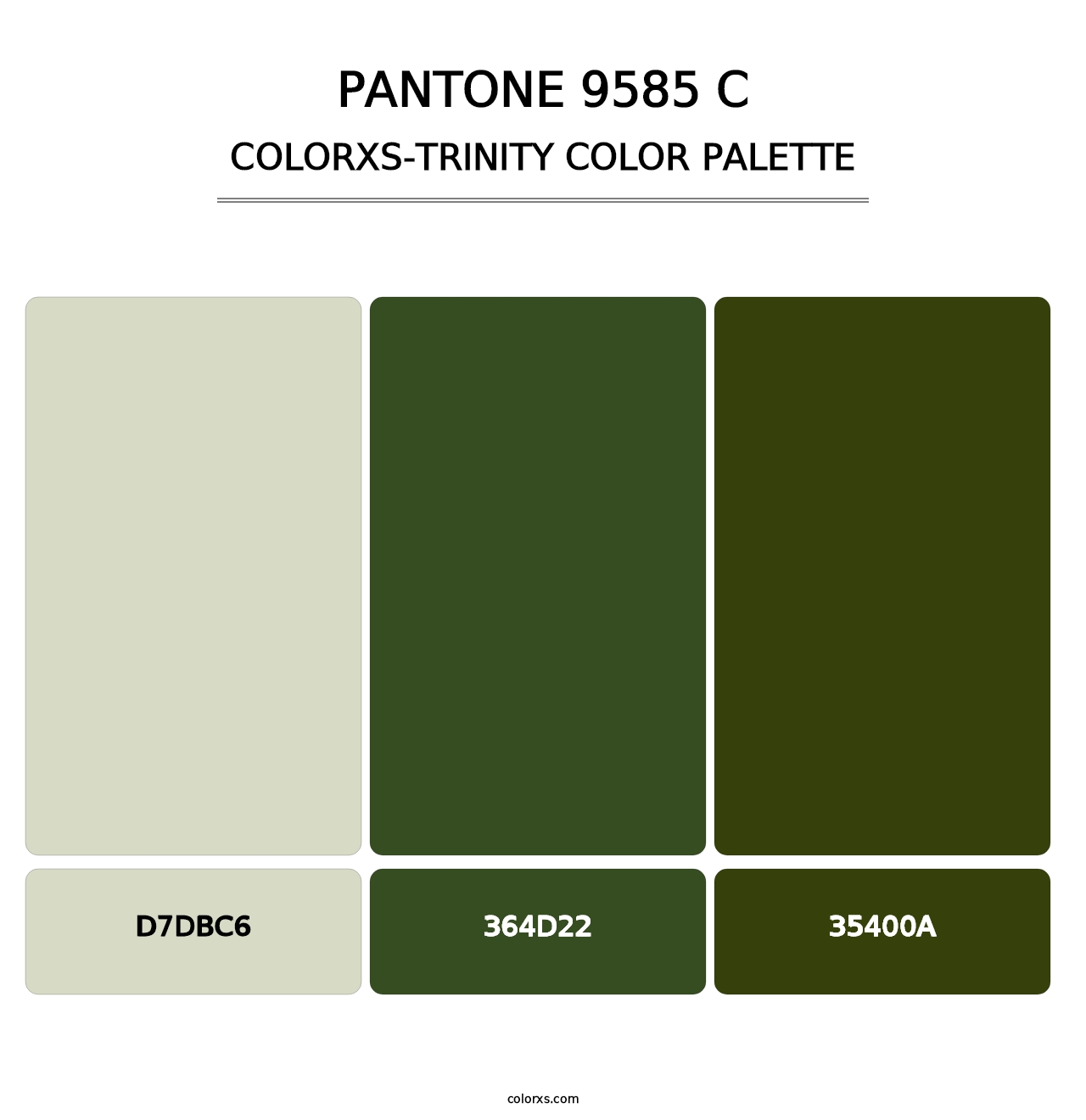 PANTONE 9585 C - Colorxs Trinity Palette