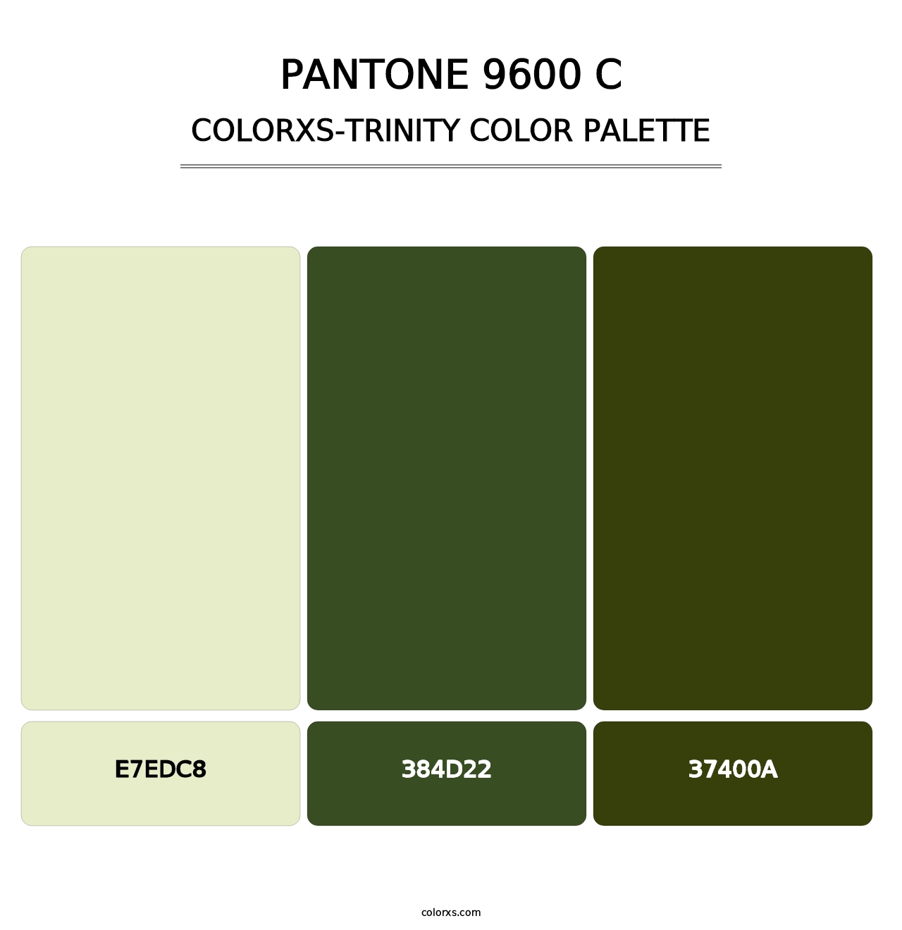 PANTONE 9600 C - Colorxs Trinity Palette