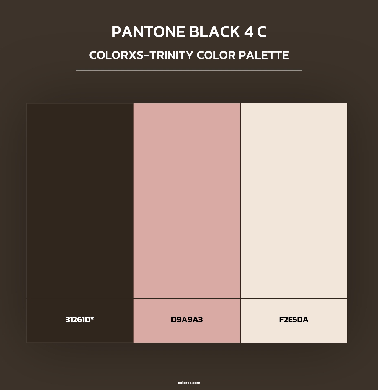PANTONE Black 4 C - Colorxs Trinity Palette