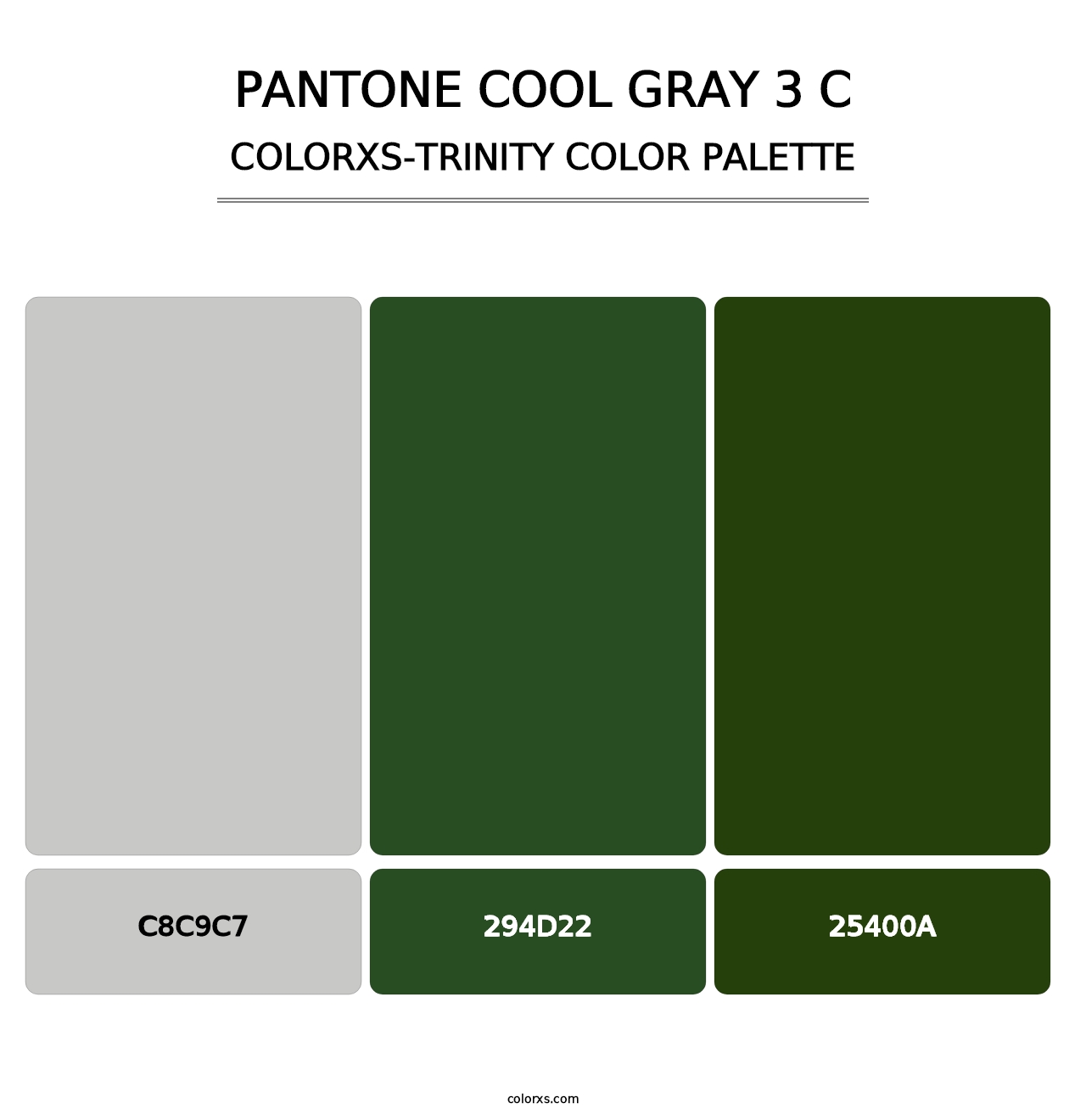 PANTONE Cool Gray 3 C - Colorxs Trinity Palette