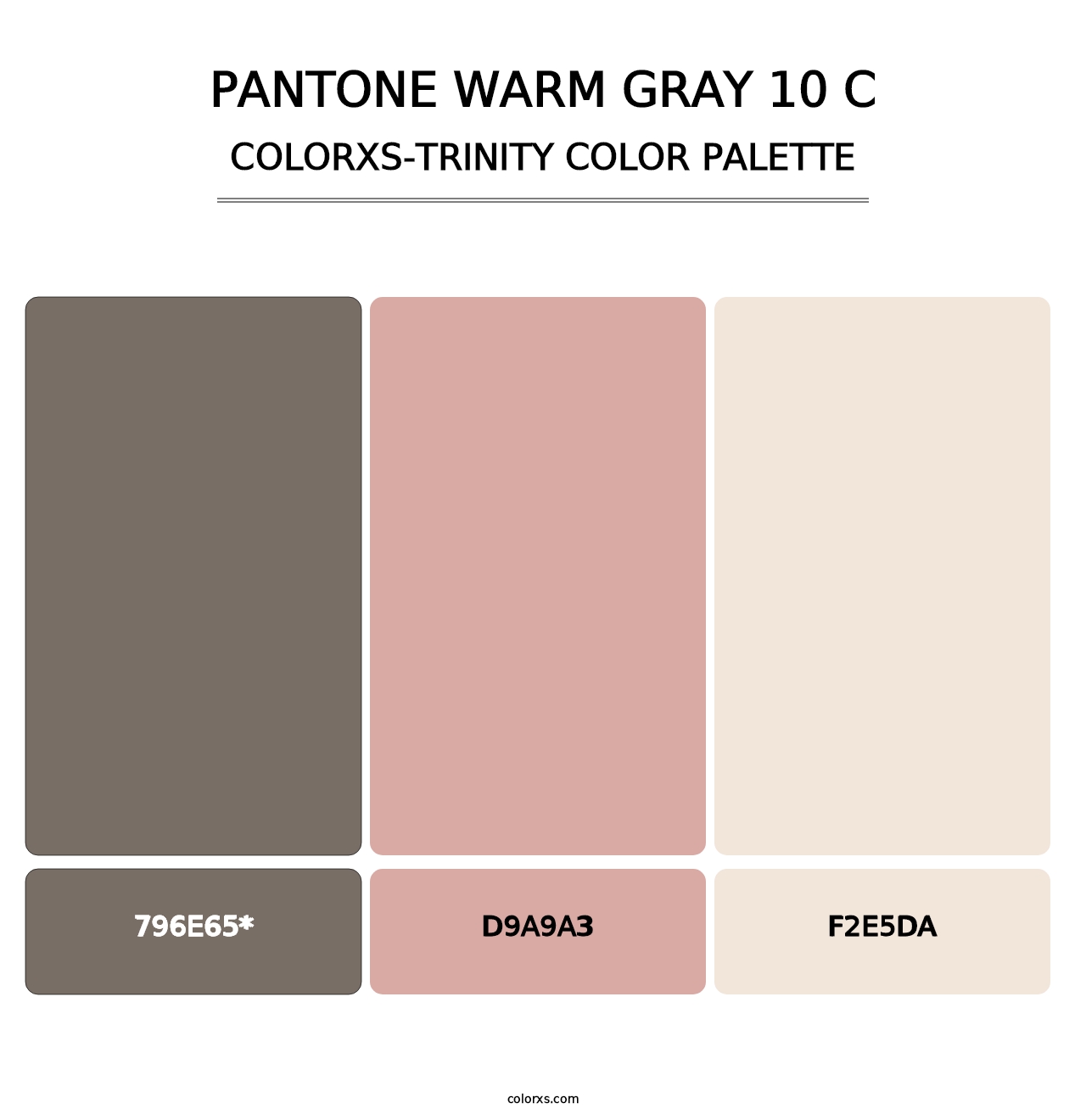 PANTONE Warm Gray 10 C - Colorxs Trinity Palette
