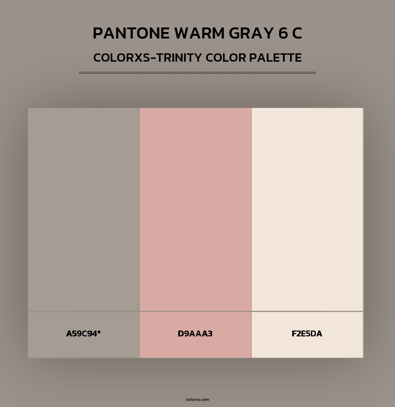 PANTONE Warm Gray 6 C - Colorxs Trinity Palette