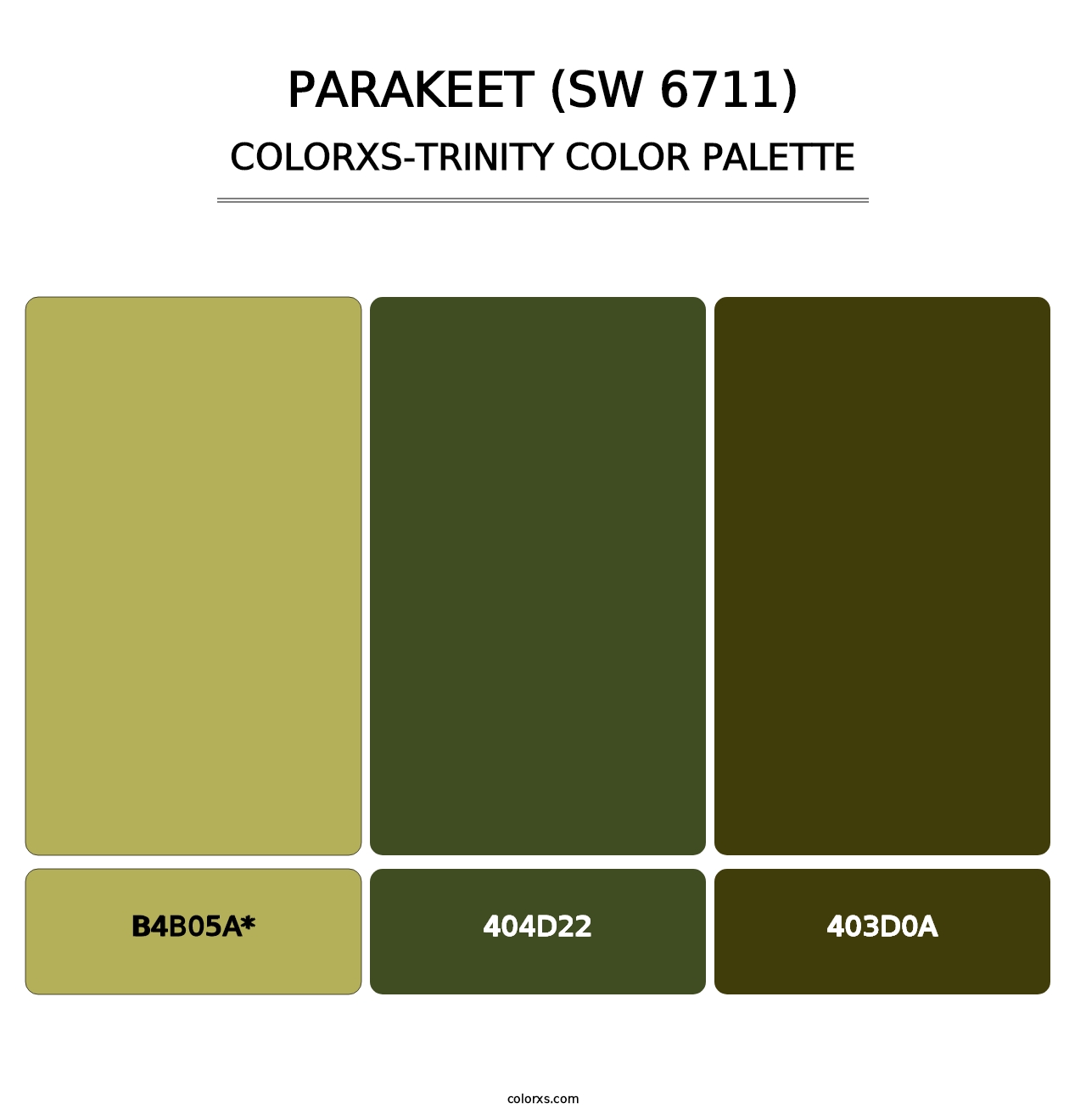 Parakeet (SW 6711) - Colorxs Trinity Palette