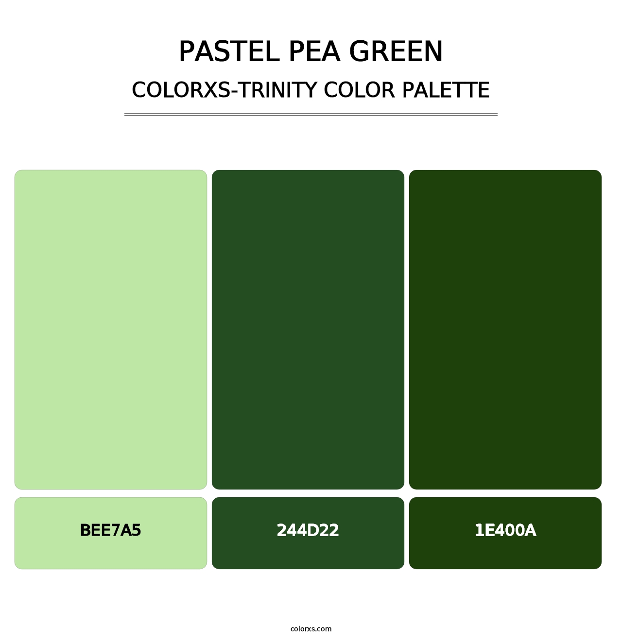 Pastel Pea Green - Colorxs Trinity Palette