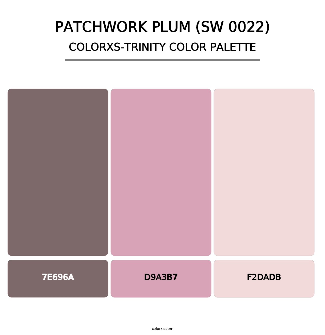 Patchwork Plum (SW 0022) - Colorxs Trinity Palette