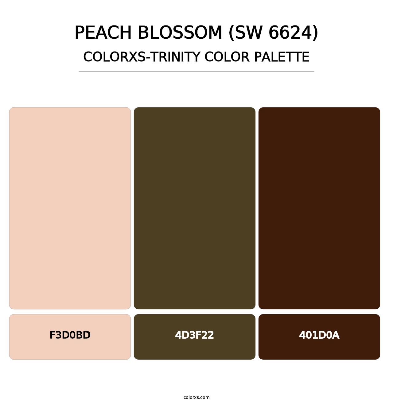Peach Blossom (SW 6624) - Colorxs Trinity Palette