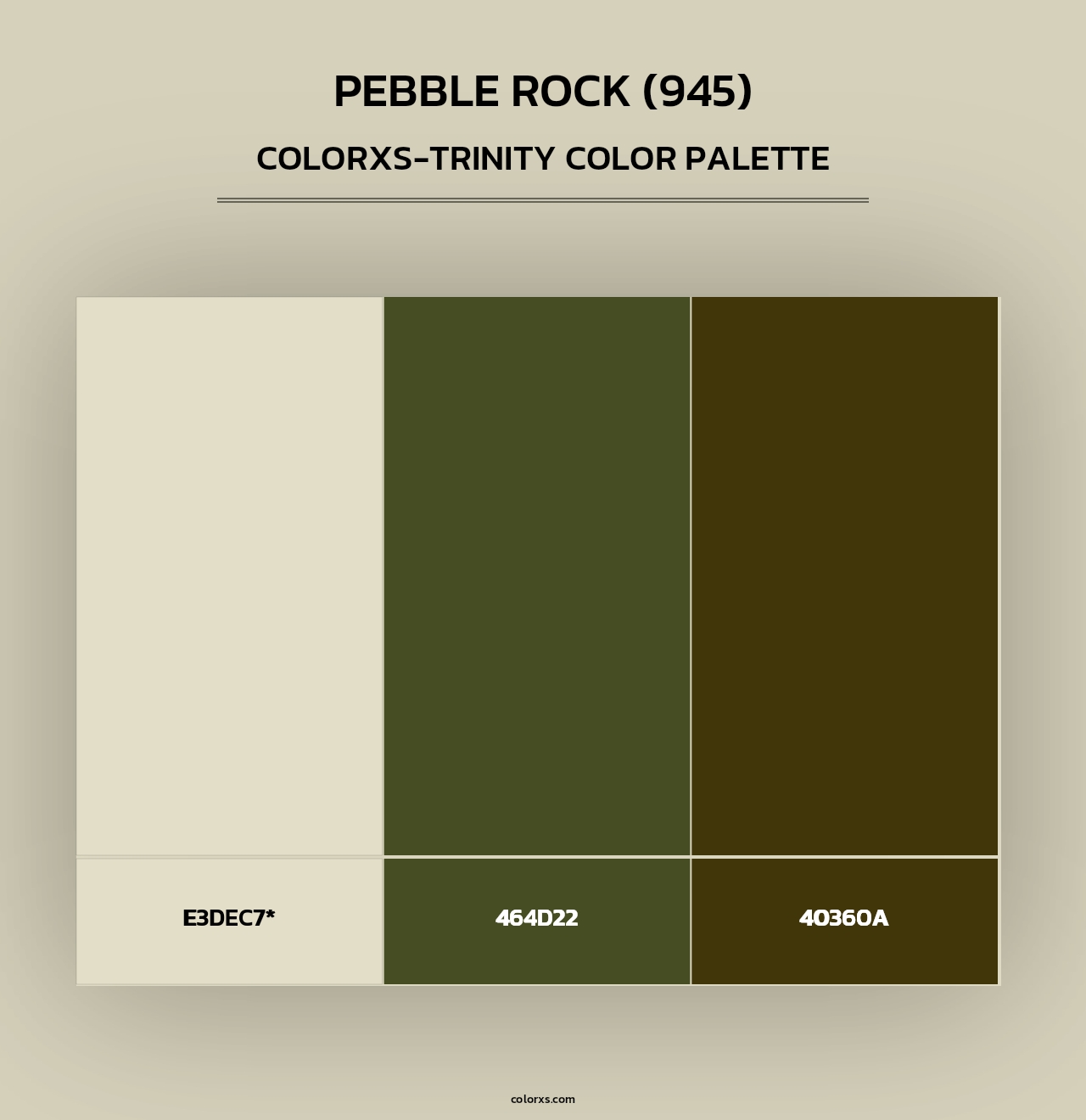 Pebble Rock (945) - Colorxs Trinity Palette