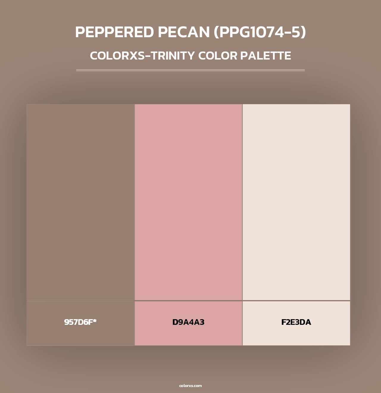 Peppered Pecan (PPG1074-5) - Colorxs Trinity Palette