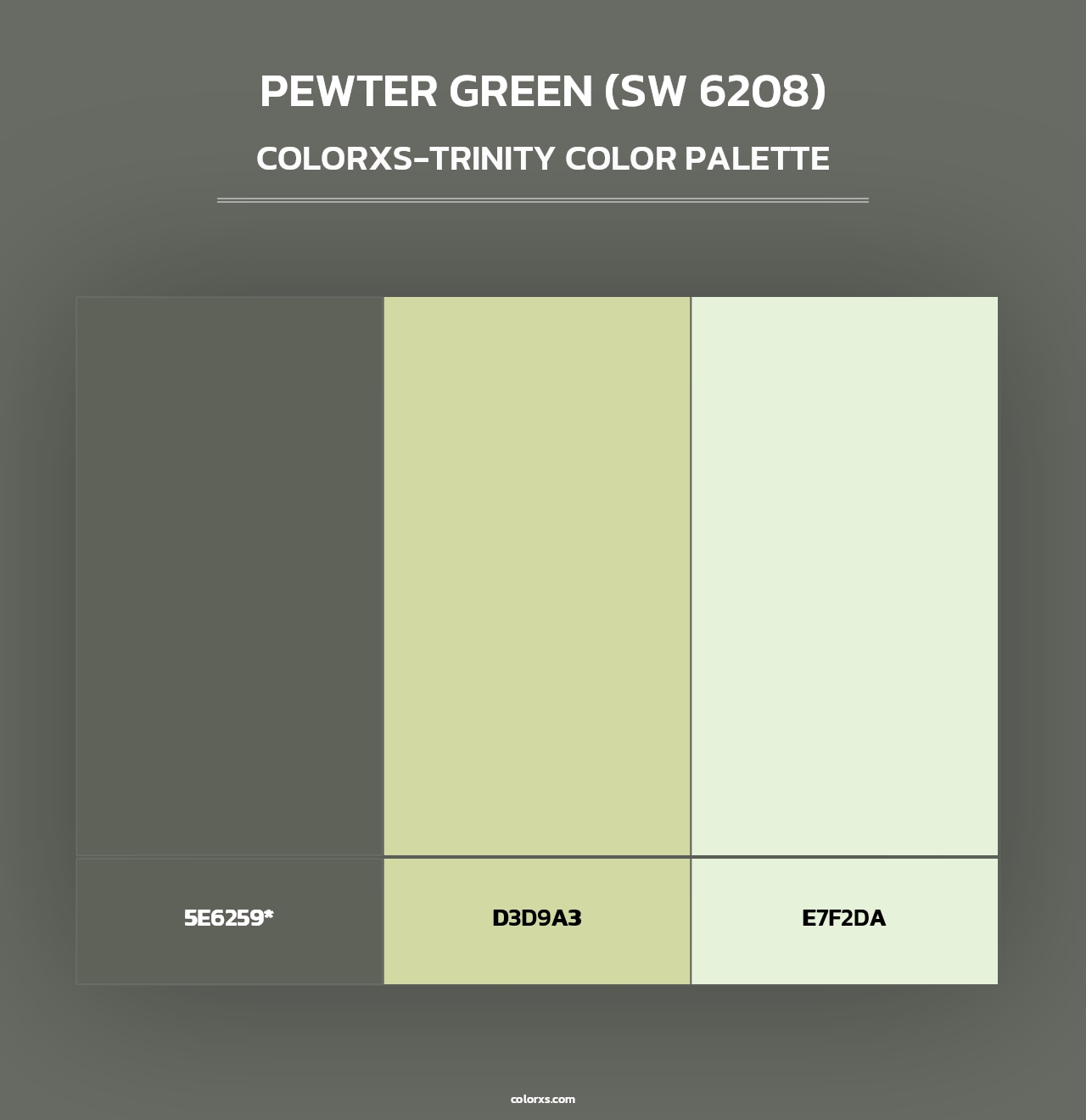 Pewter Green (SW 6208) - Colorxs Trinity Palette