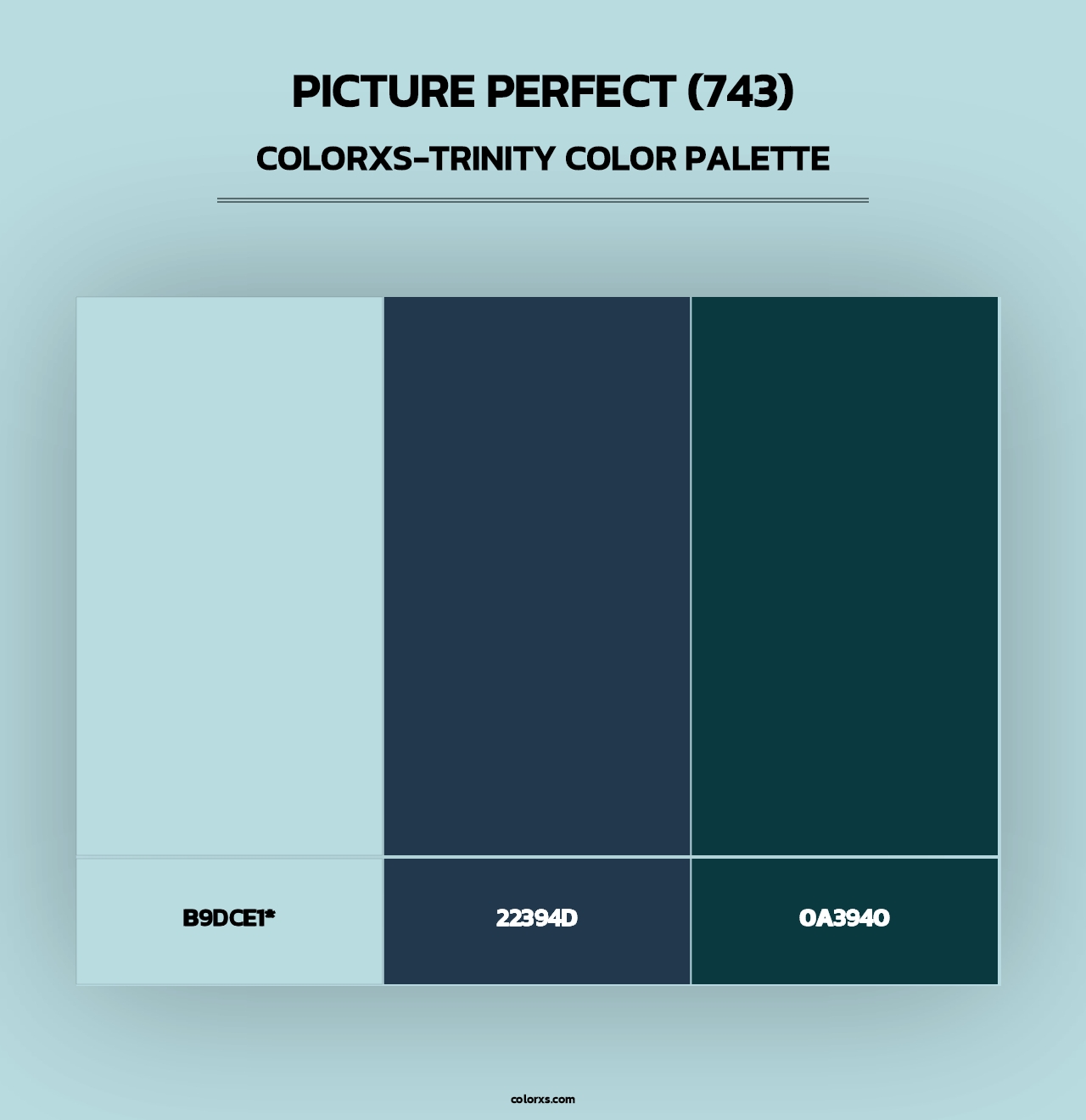 Picture Perfect (743) - Colorxs Trinity Palette