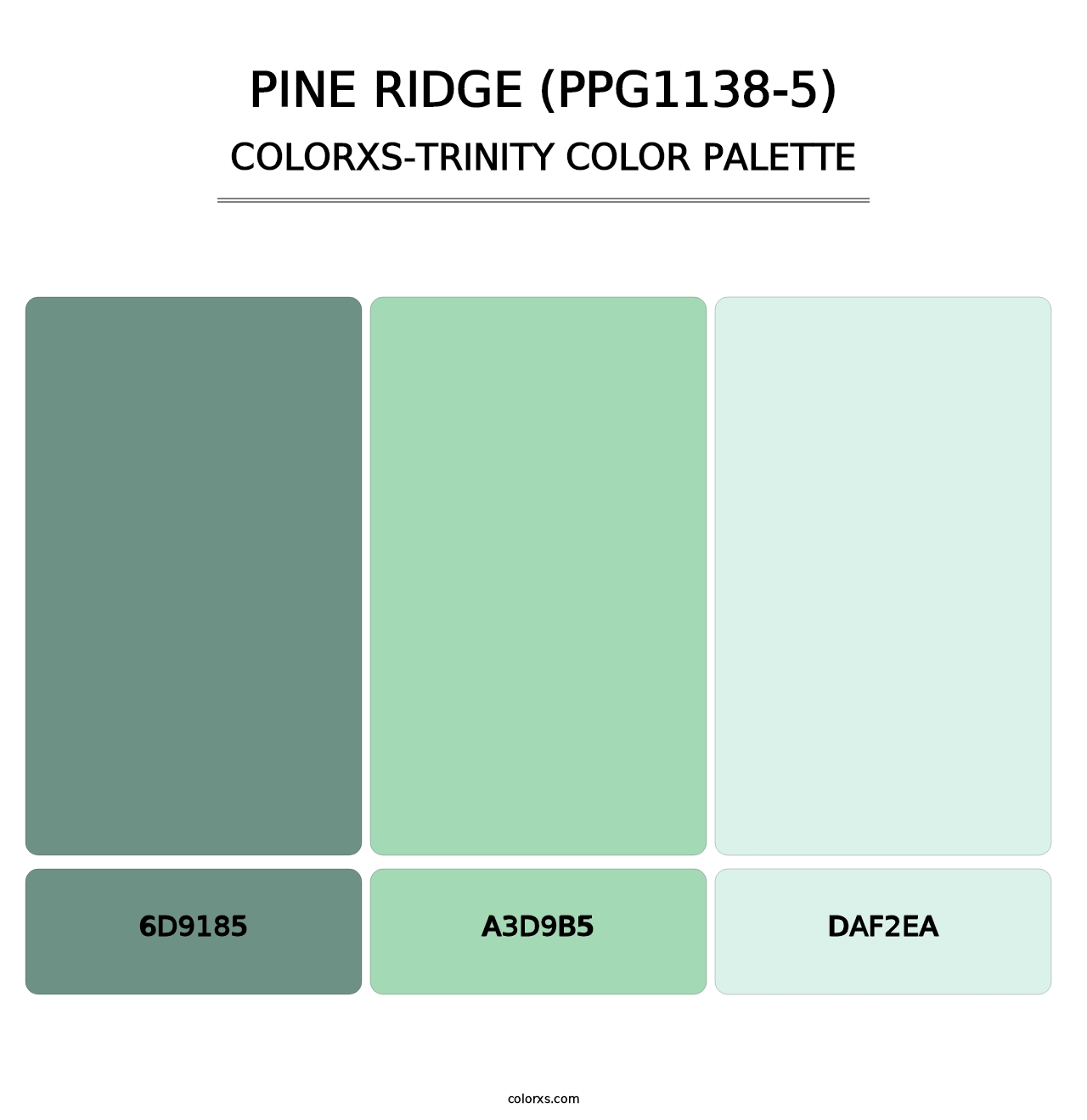 Pine Ridge (PPG1138-5) - Colorxs Trinity Palette