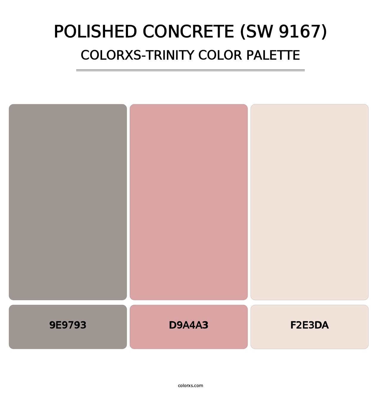 Polished Concrete (SW 9167) - Colorxs Trinity Palette