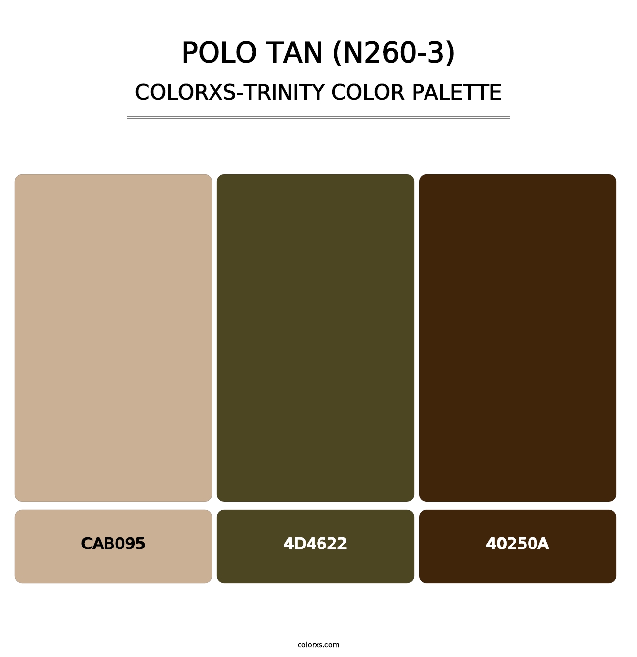 Polo Tan (N260-3) - Colorxs Trinity Palette