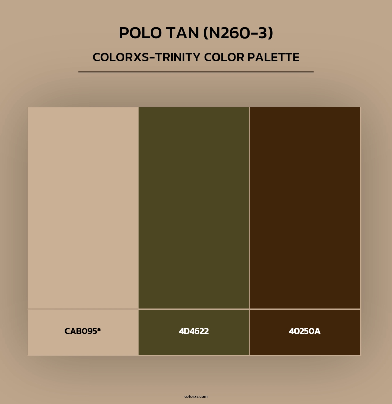 Polo Tan (N260-3) - Colorxs Trinity Palette