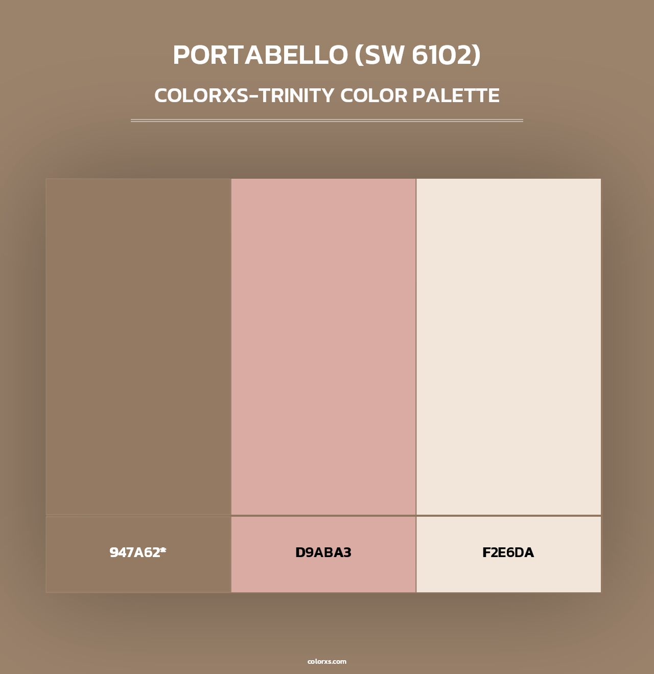 Portabello (SW 6102) - Colorxs Trinity Palette