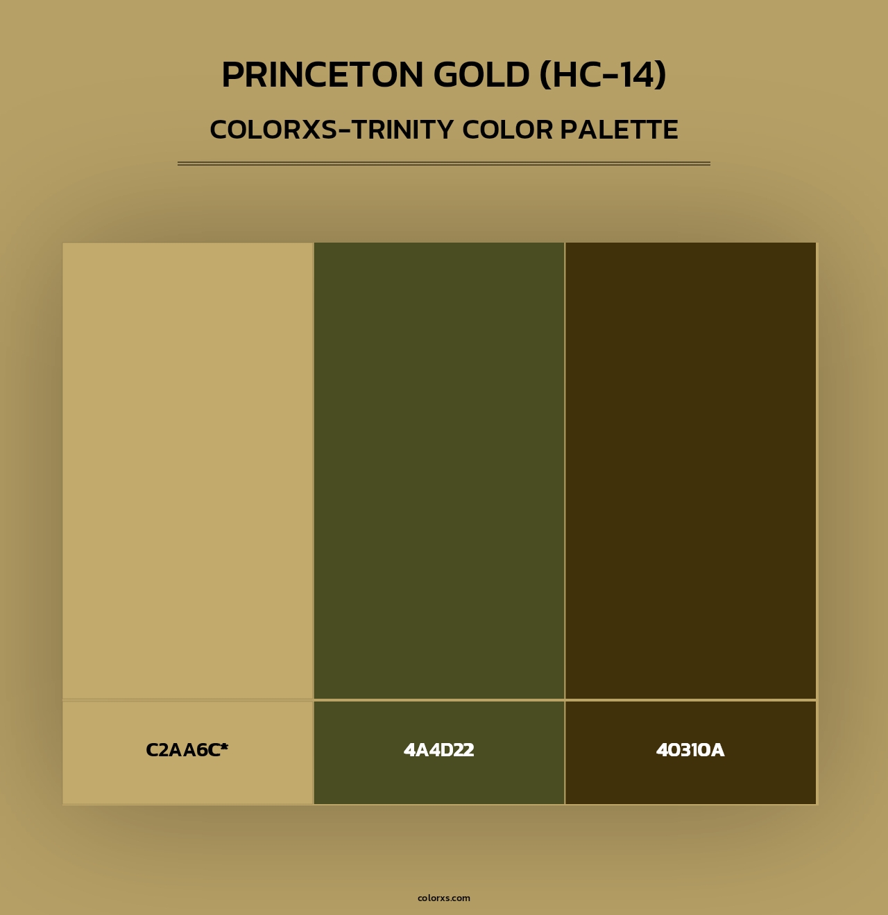 Princeton Gold (HC-14) - Colorxs Trinity Palette