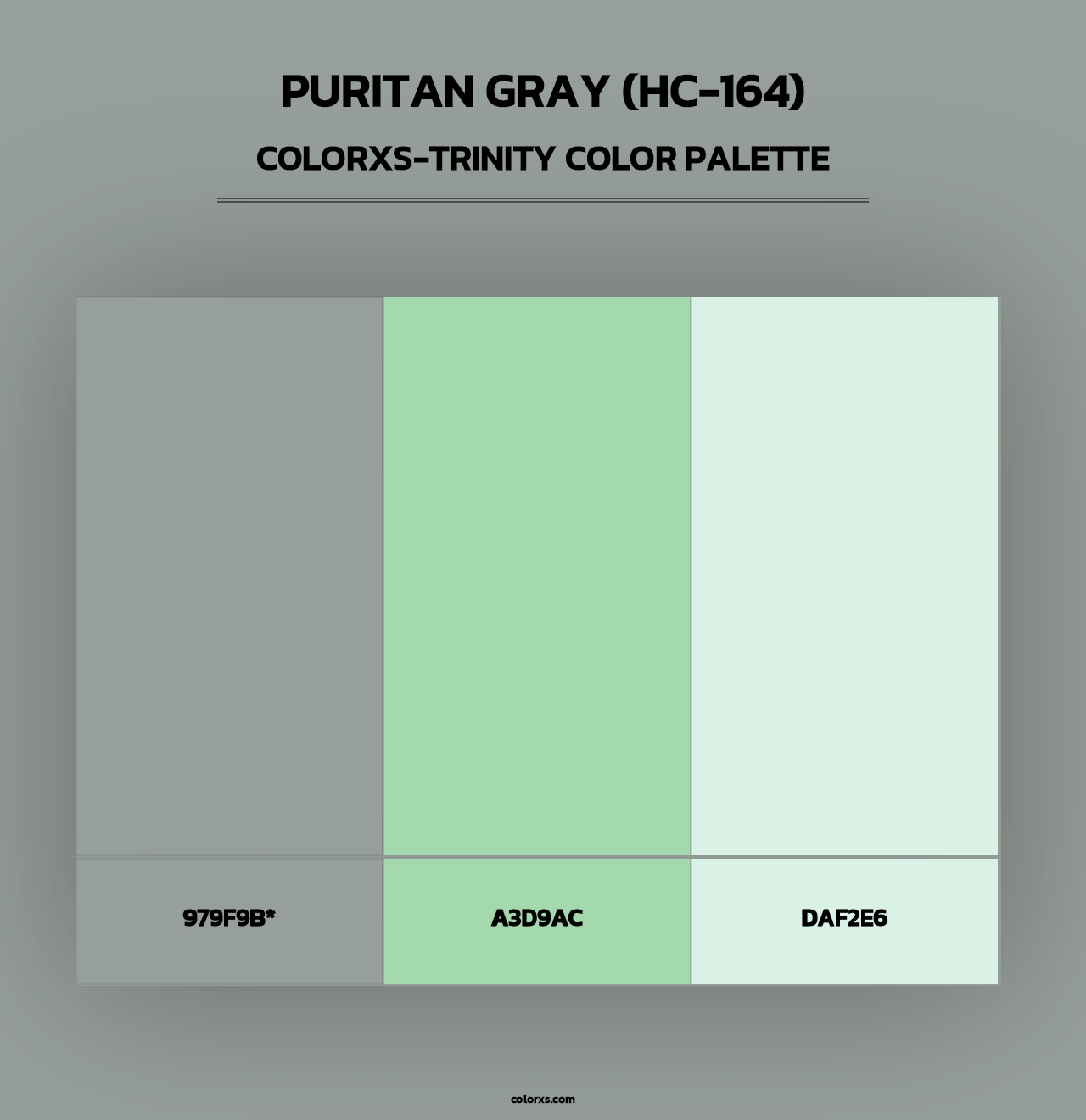 Puritan Gray (HC-164) - Colorxs Trinity Palette