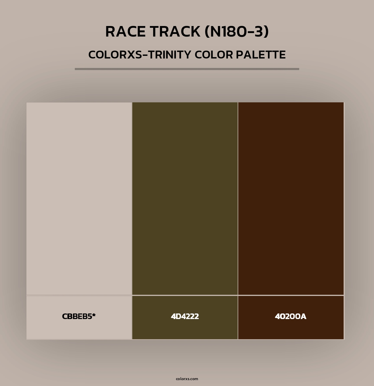 Race Track (N180-3) - Colorxs Trinity Palette