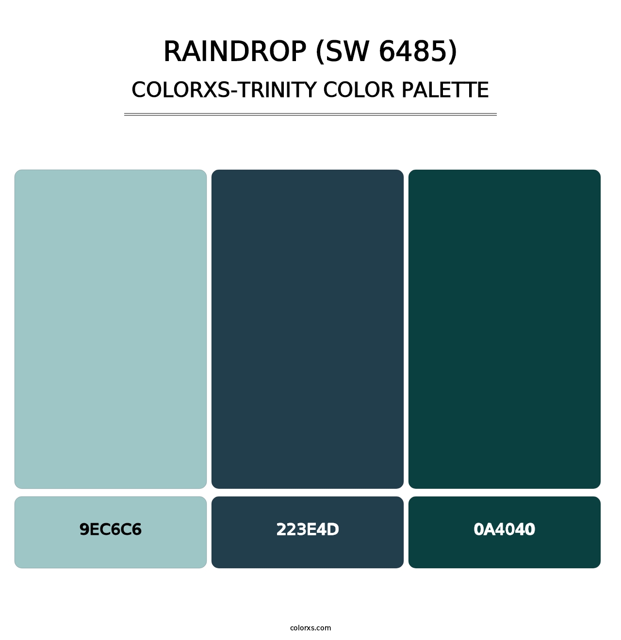 Raindrop (SW 6485) - Colorxs Trinity Palette