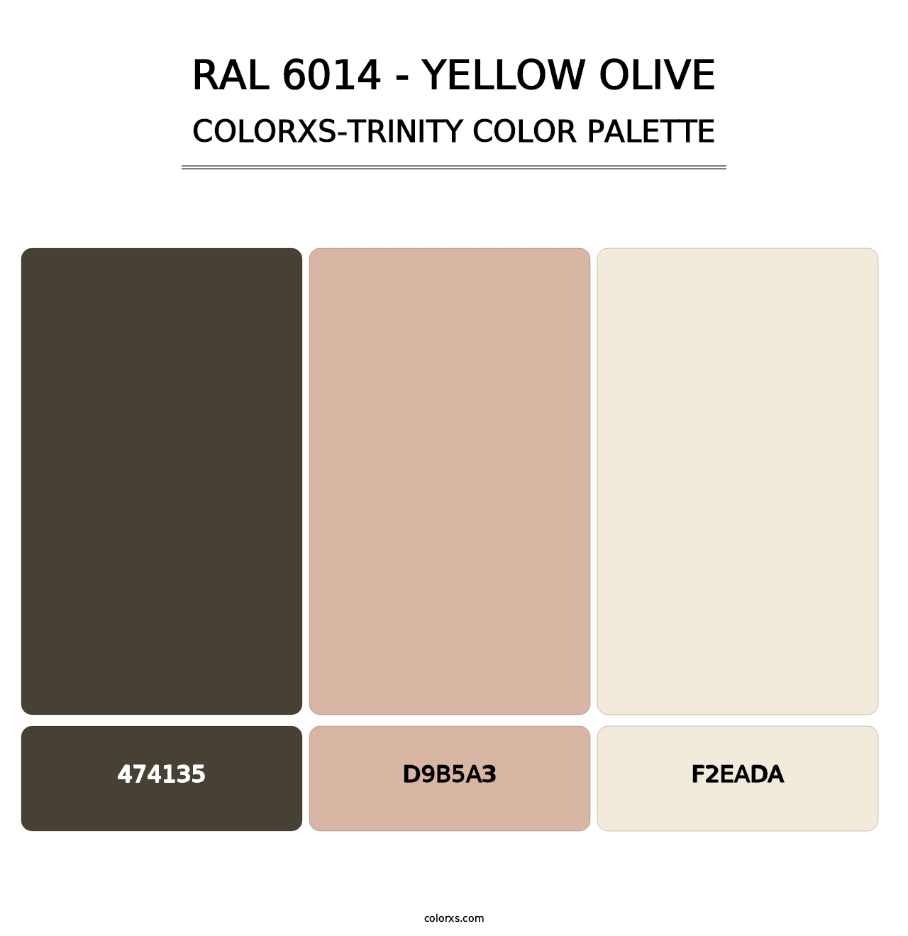 RAL 6014 - Yellow Olive - Colorxs Trinity Palette