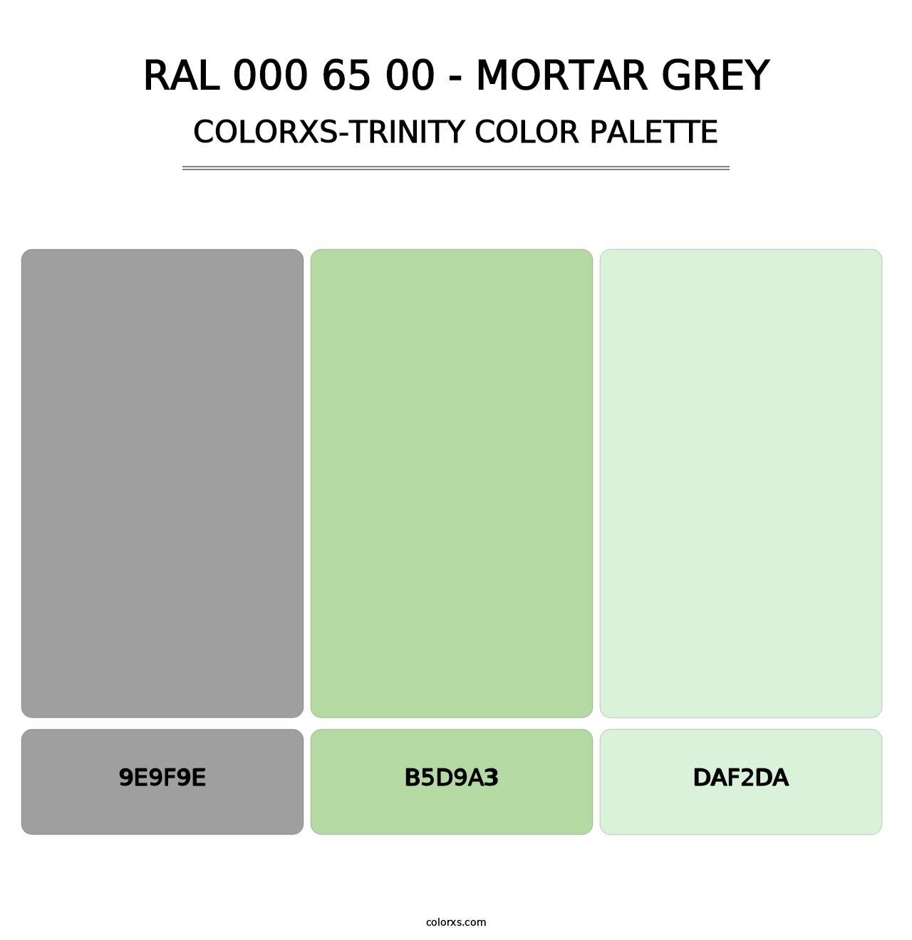 RAL 000 65 00 - Mortar Grey - Colorxs Trinity Palette