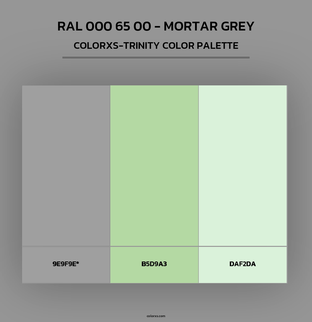 RAL 000 65 00 - Mortar Grey - Colorxs Trinity Palette