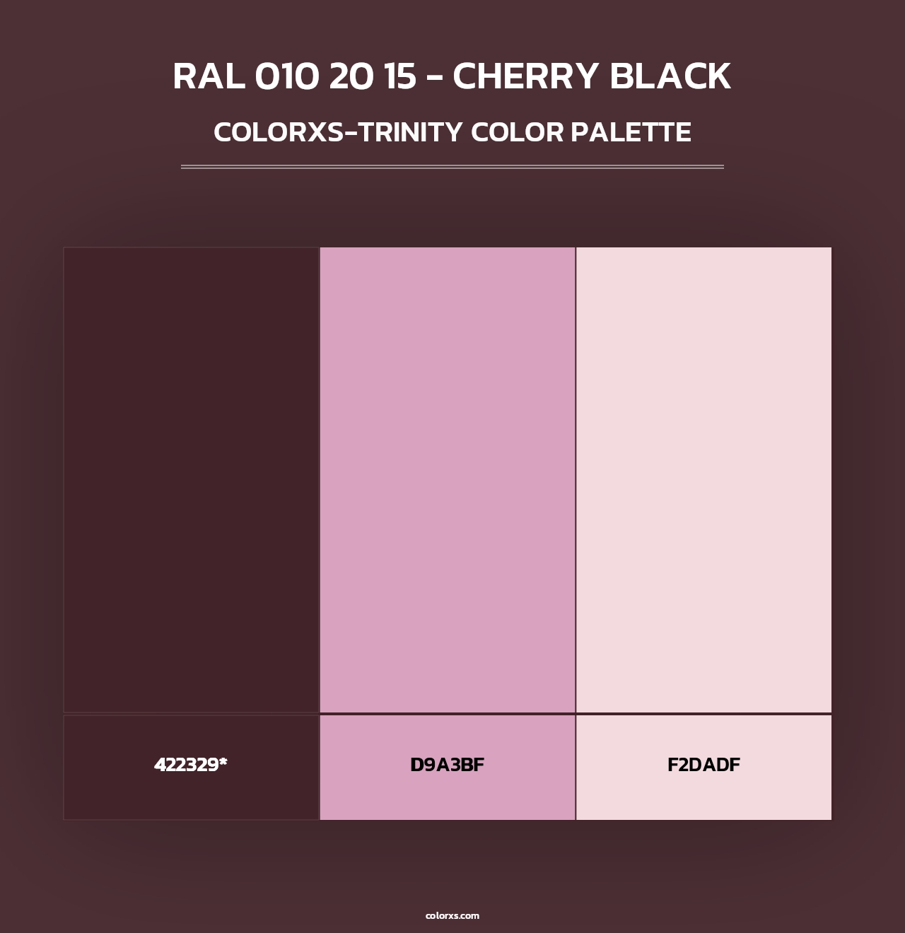 RAL 010 20 15 - Cherry Black - Colorxs Trinity Palette