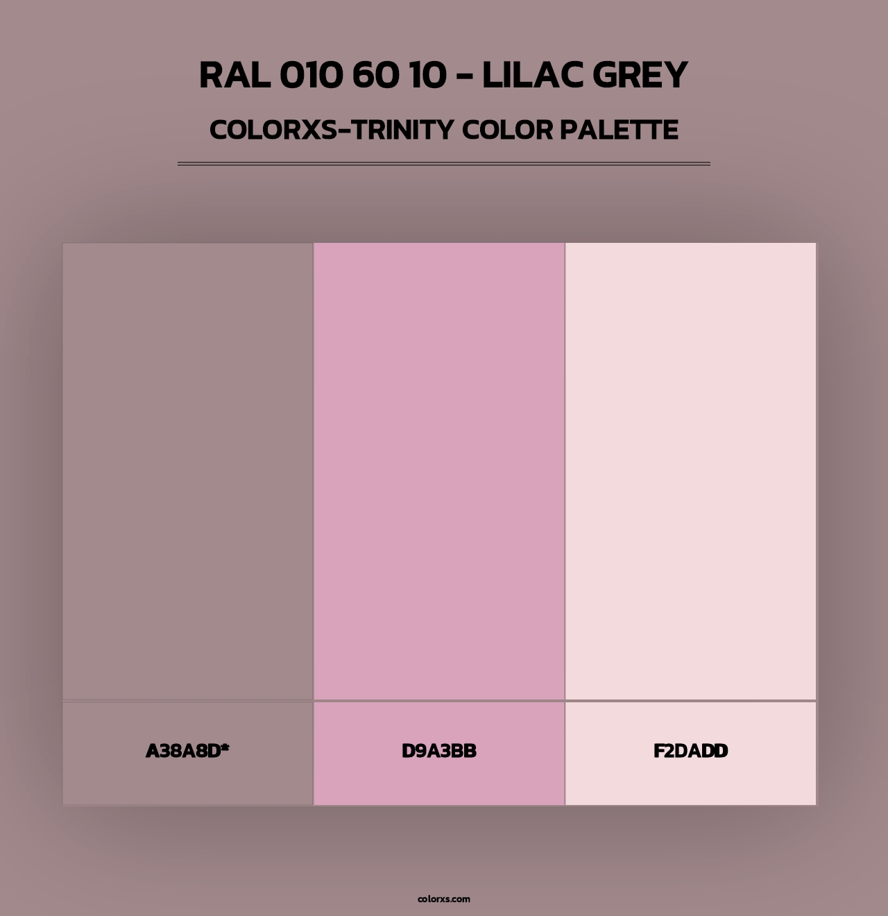 RAL 010 60 10 - Lilac Grey - Colorxs Trinity Palette