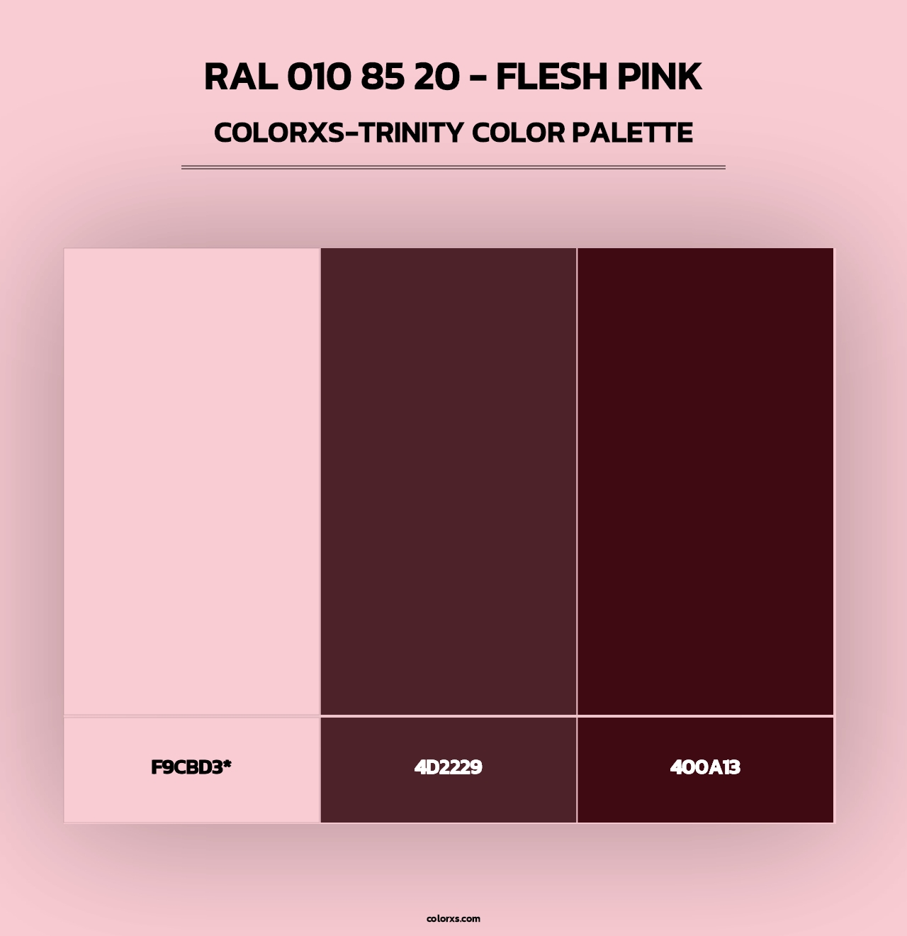 RAL 010 85 20 - Flesh Pink - Colorxs Trinity Palette