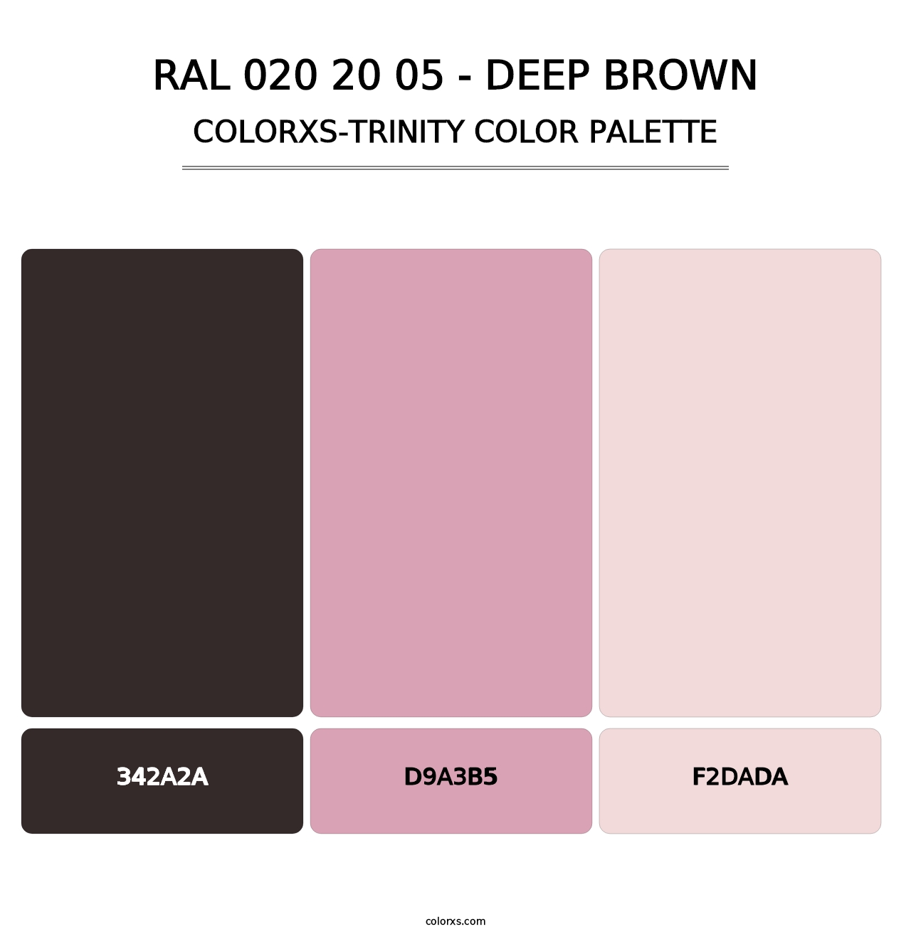 RAL 020 20 05 - Deep Brown - Colorxs Trinity Palette