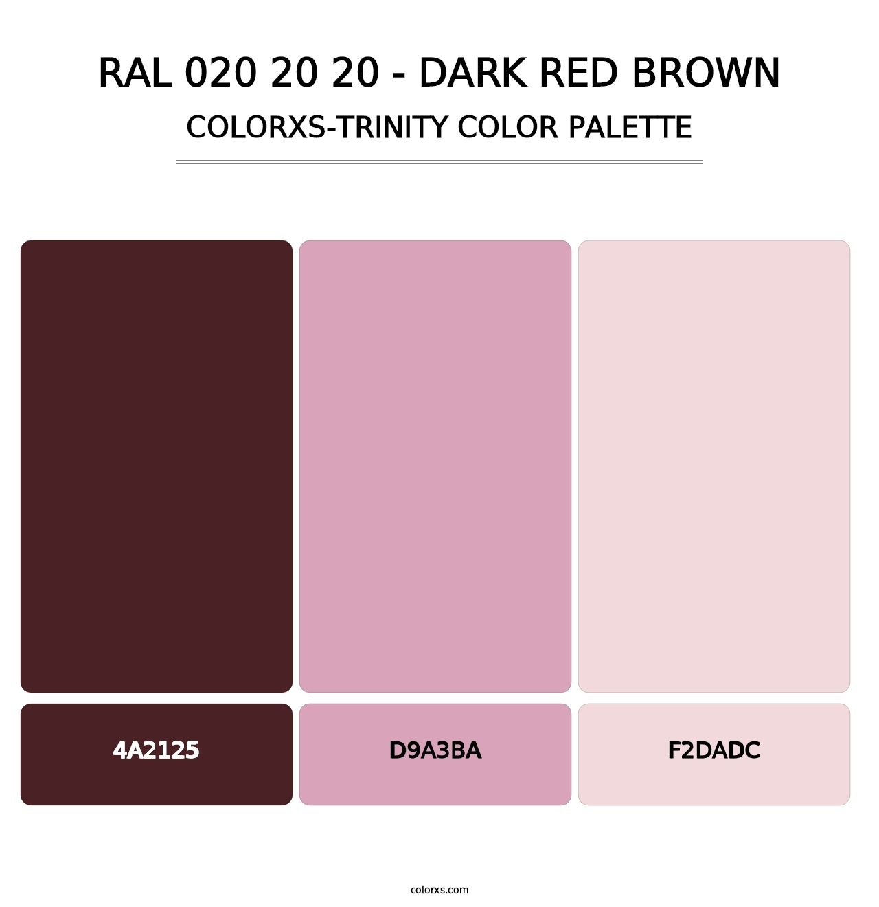 RAL 020 20 20 - Dark Red Brown - Colorxs Trinity Palette