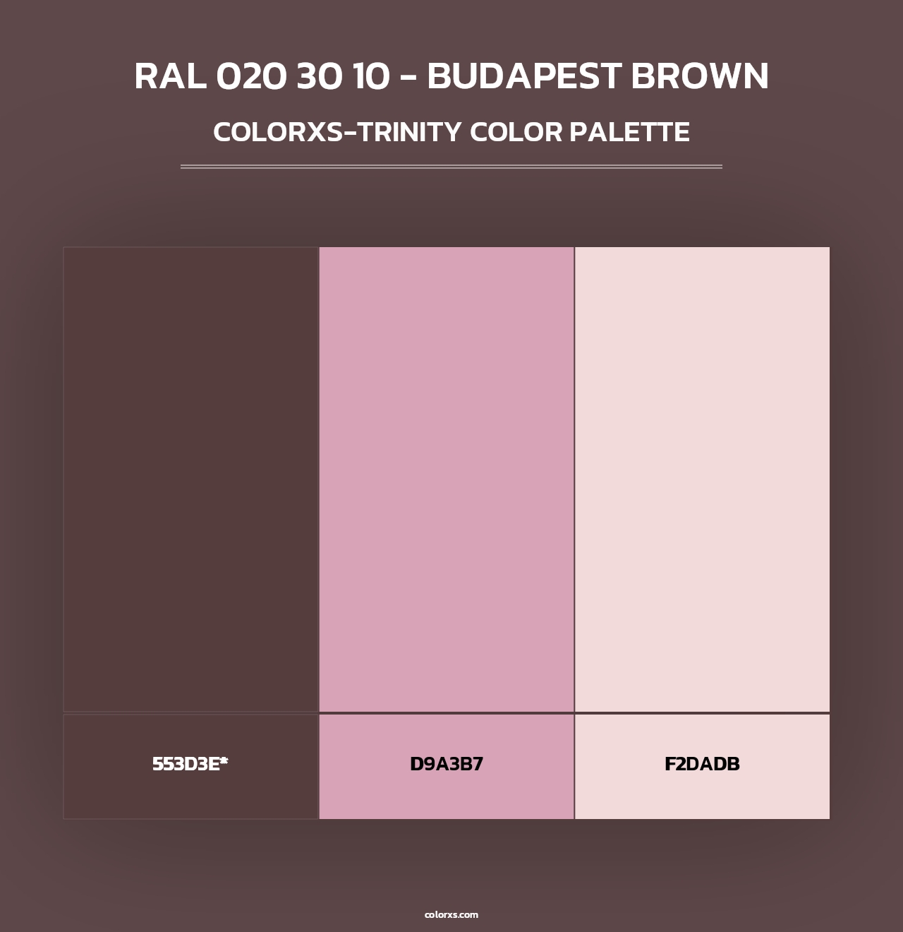 RAL 020 30 10 - Budapest Brown - Colorxs Trinity Palette
