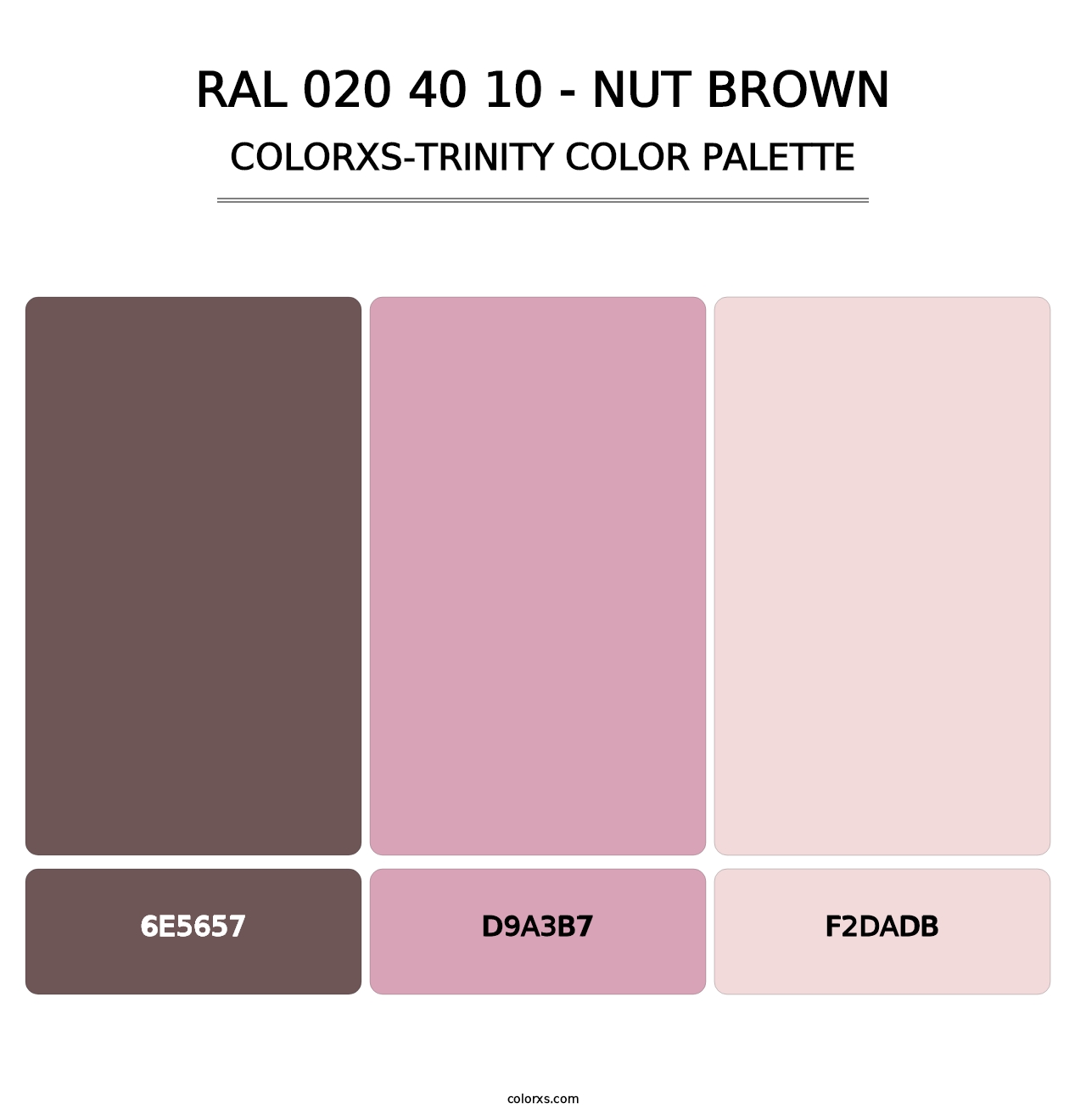 RAL 020 40 10 - Nut Brown - Colorxs Trinity Palette