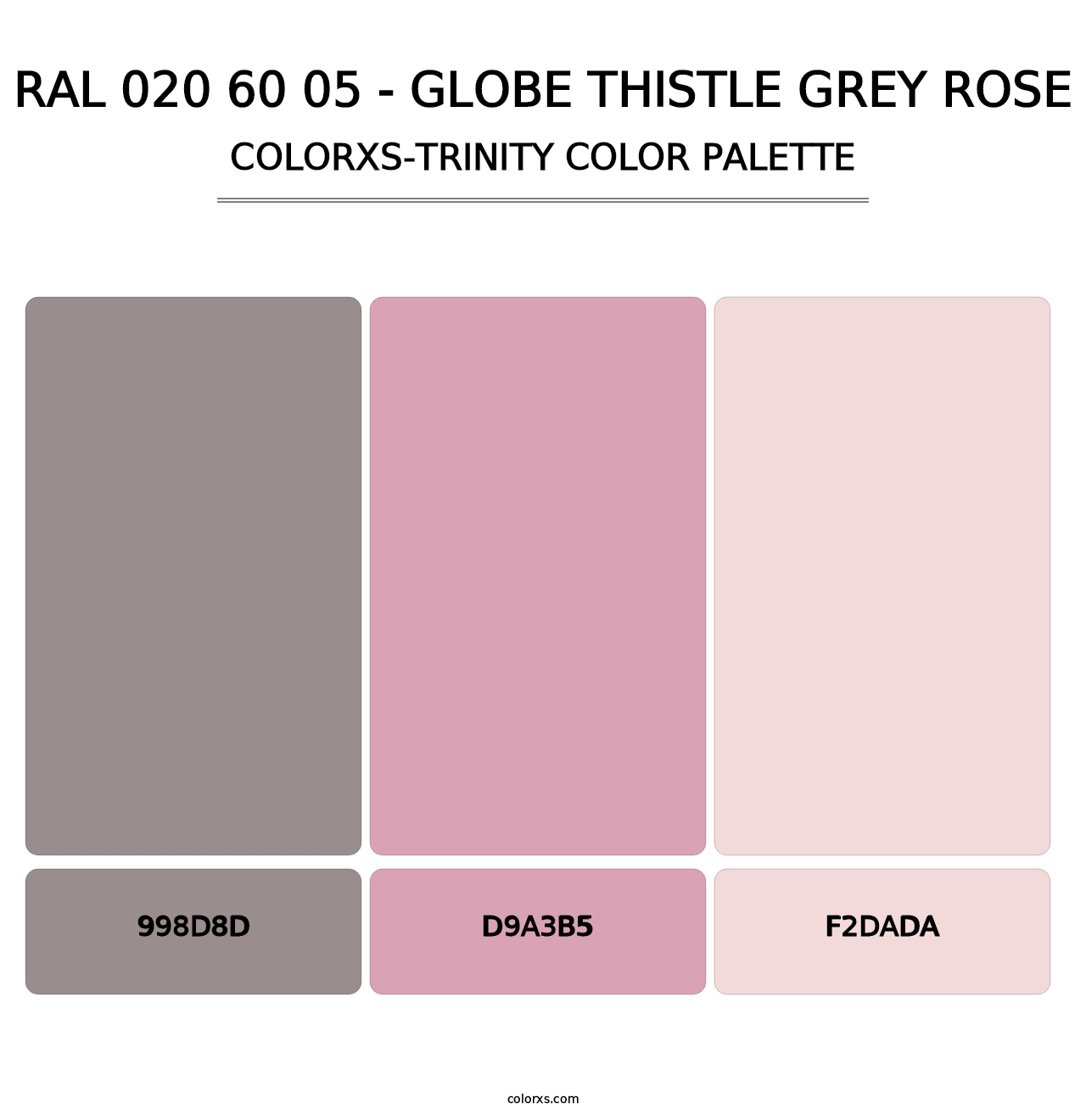 RAL 020 60 05 - Globe Thistle Grey Rose - Colorxs Trinity Palette