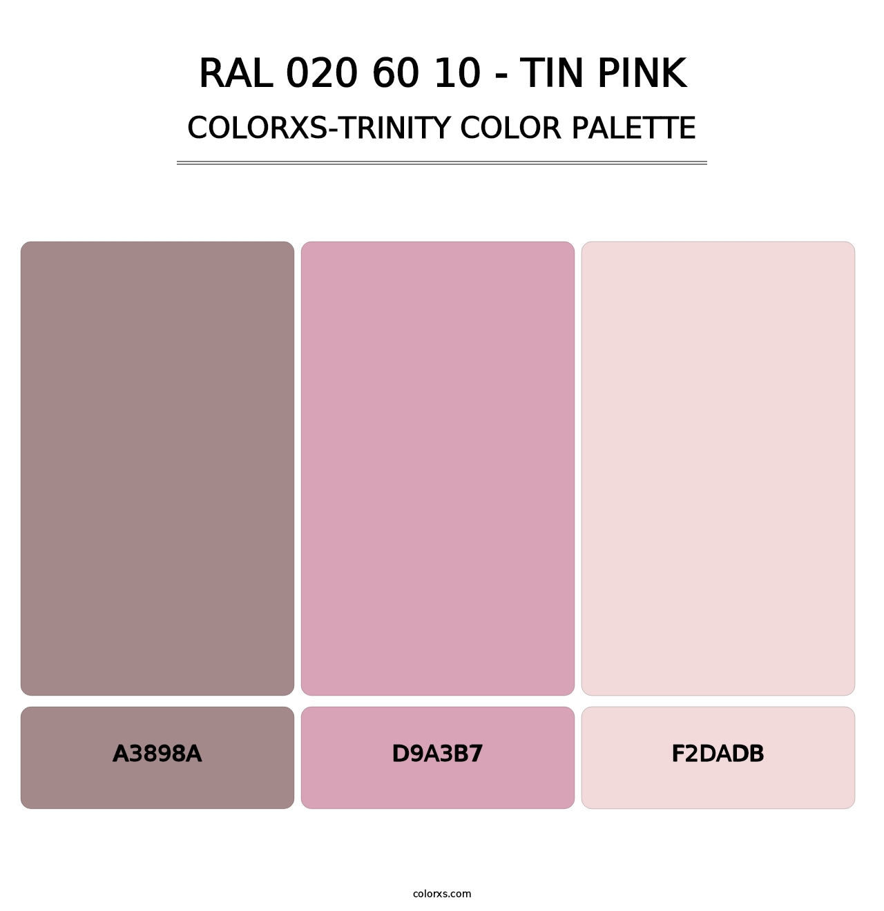 RAL 020 60 10 - Tin Pink - Colorxs Trinity Palette