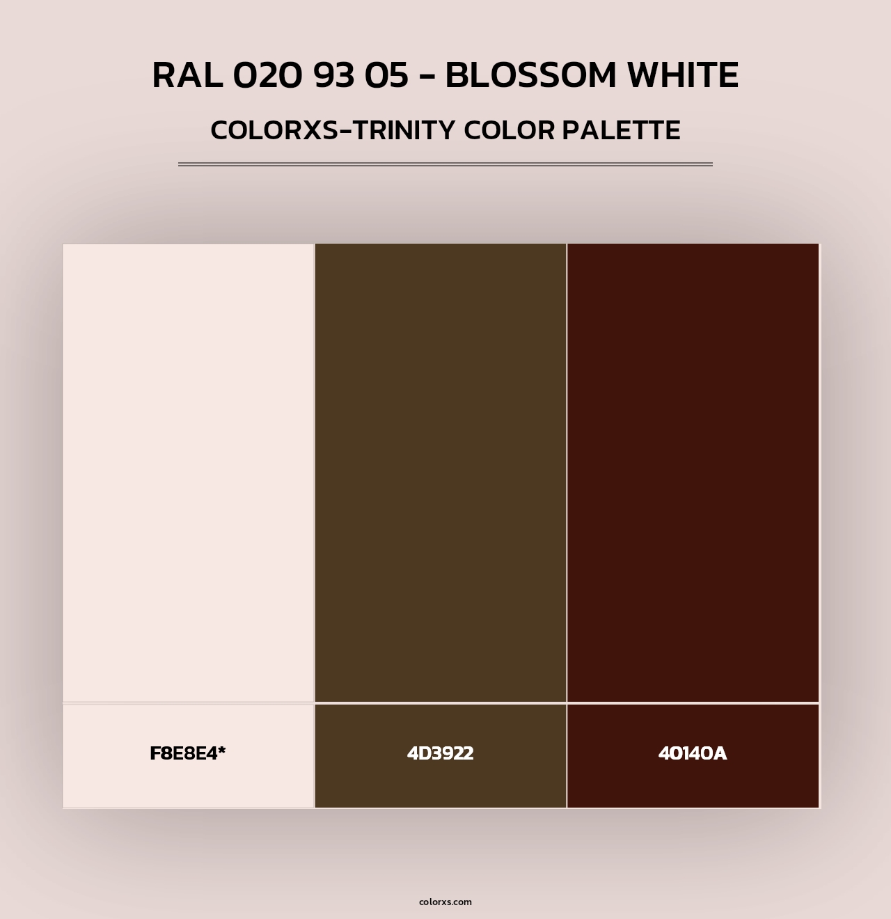 RAL 020 93 05 - Blossom White - Colorxs Trinity Palette