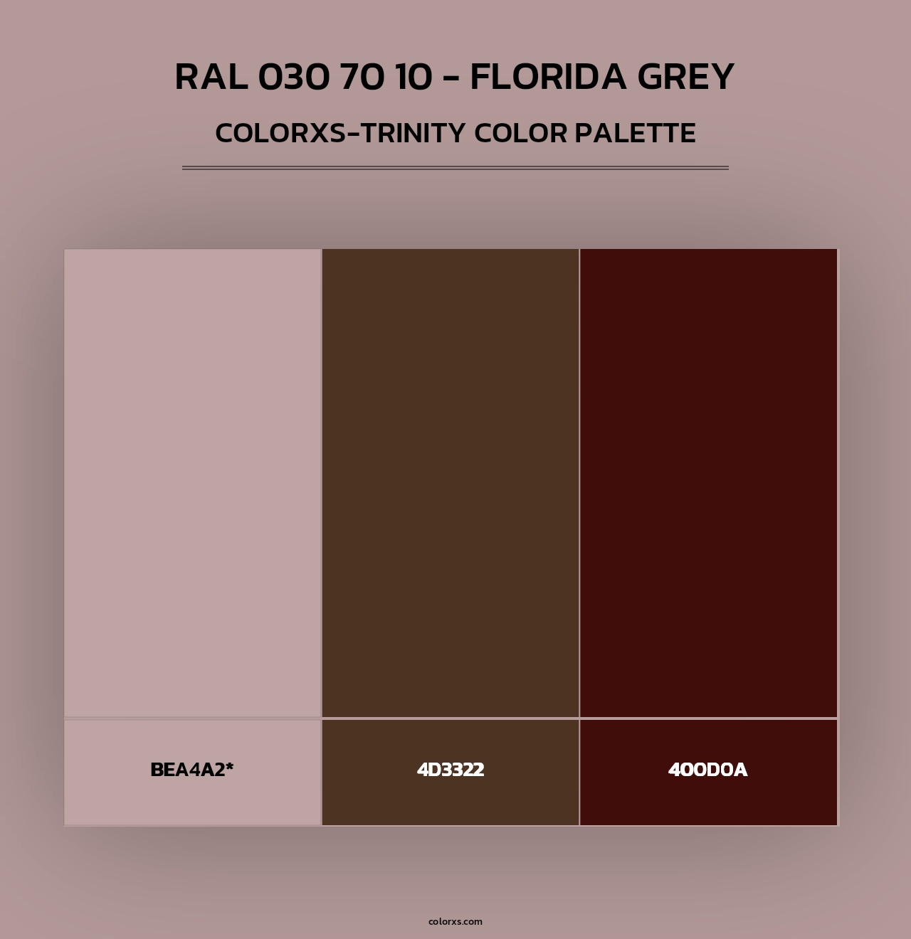 RAL 030 70 10 - Florida Grey - Colorxs Trinity Palette