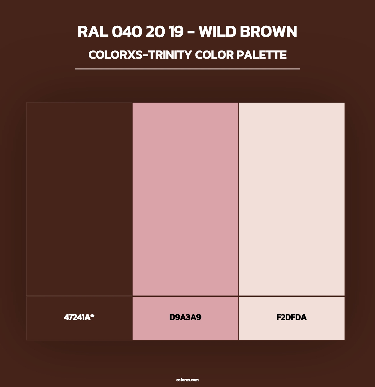 RAL 040 20 19 - Wild Brown - Colorxs Trinity Palette